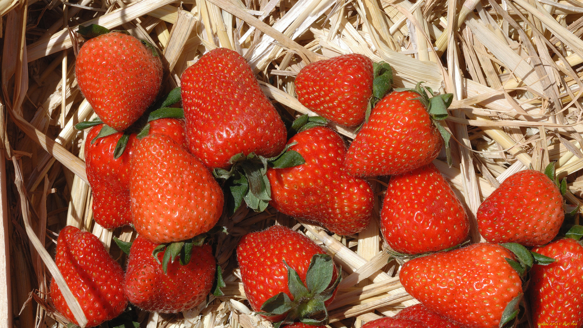 еда, клубника, , земляника, ягоды