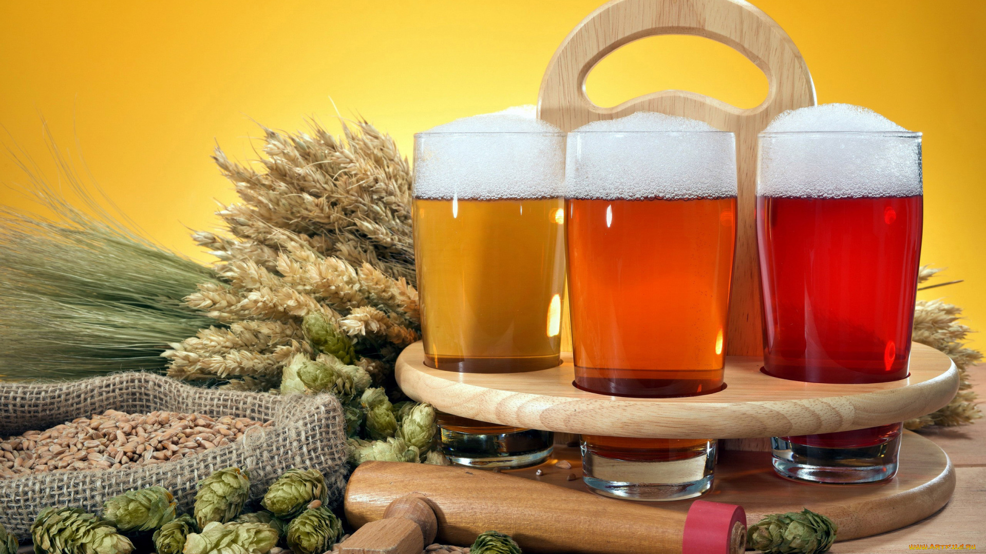 еда, напитки, , пиво, хмель, бокалы, колосья