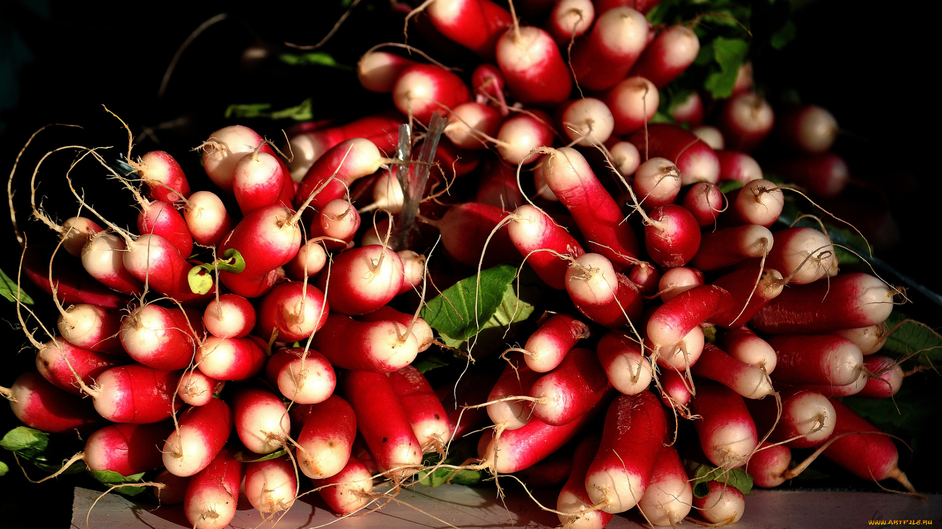 еда, редис, , репа, , редька, корнеплоды