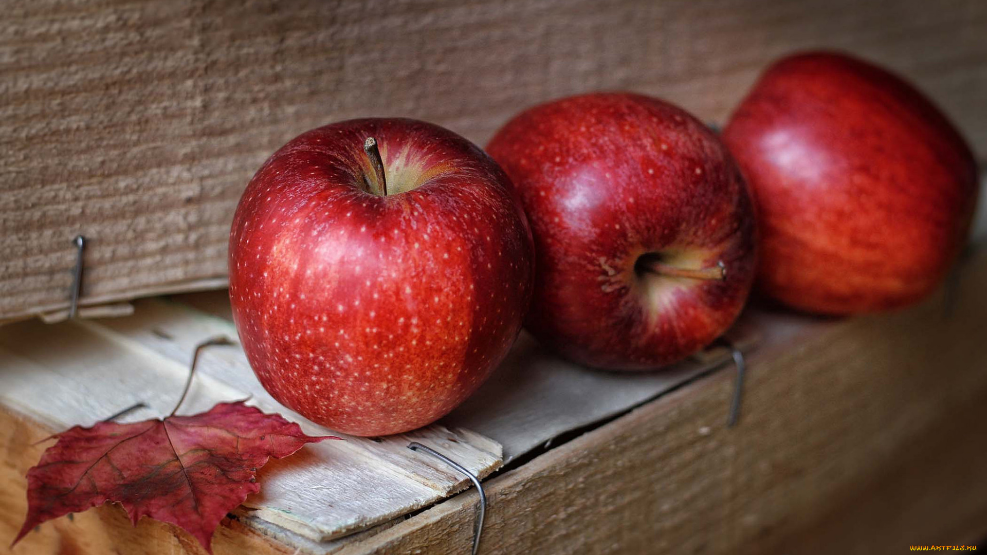 еда, Яблоки, плоды