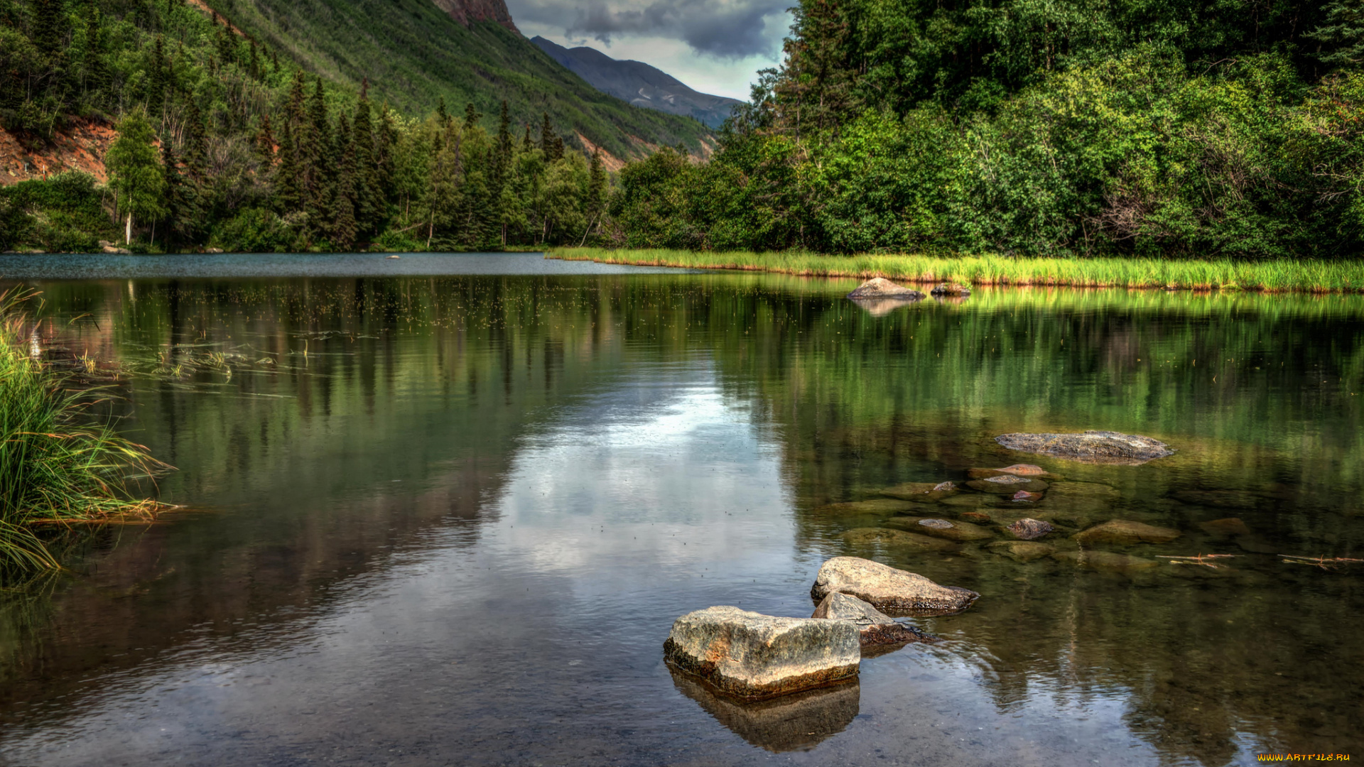 природа, реки, озера, лес, река