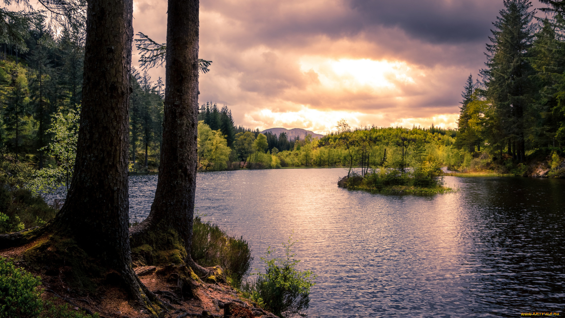 природа, реки, озера, река, лес