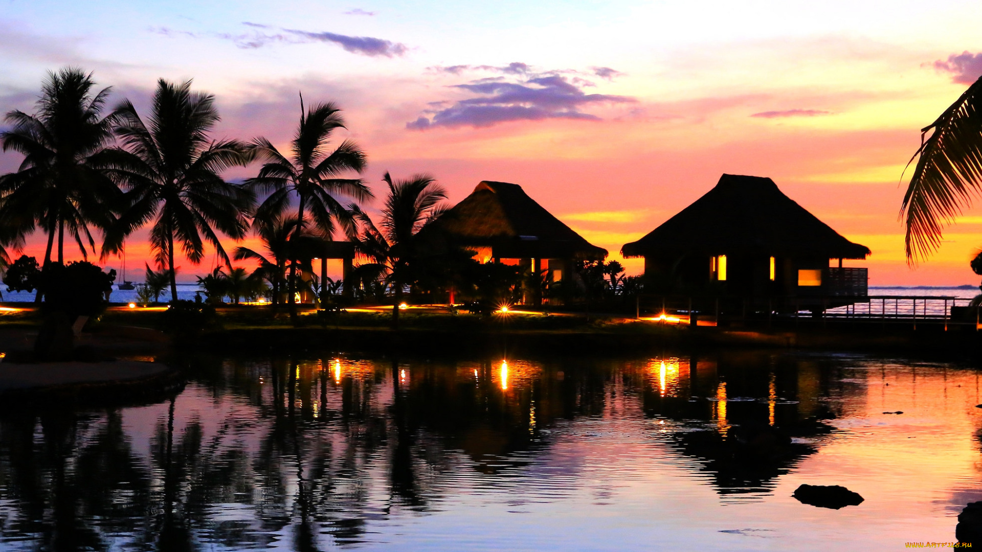 природа, тропики, курорт