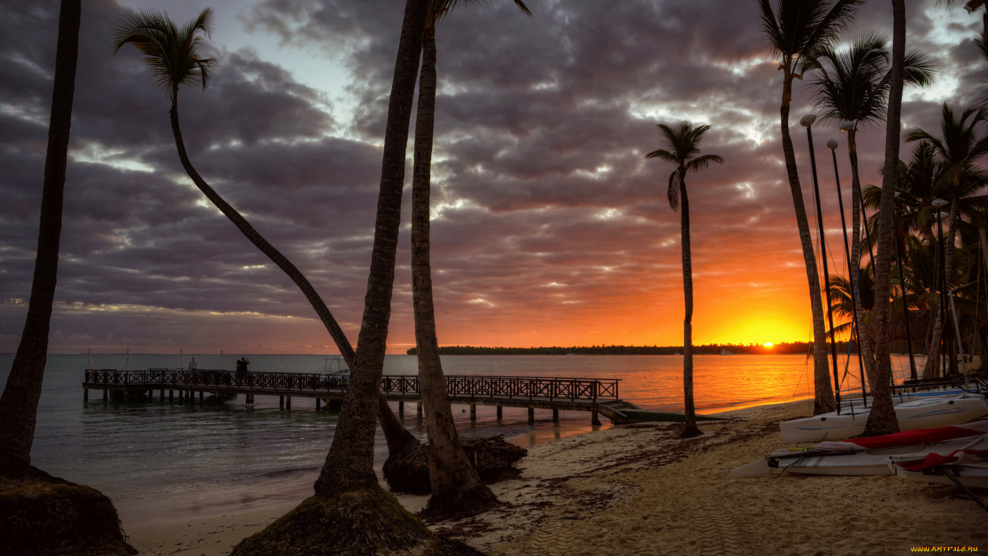 природа, тропики, курорт