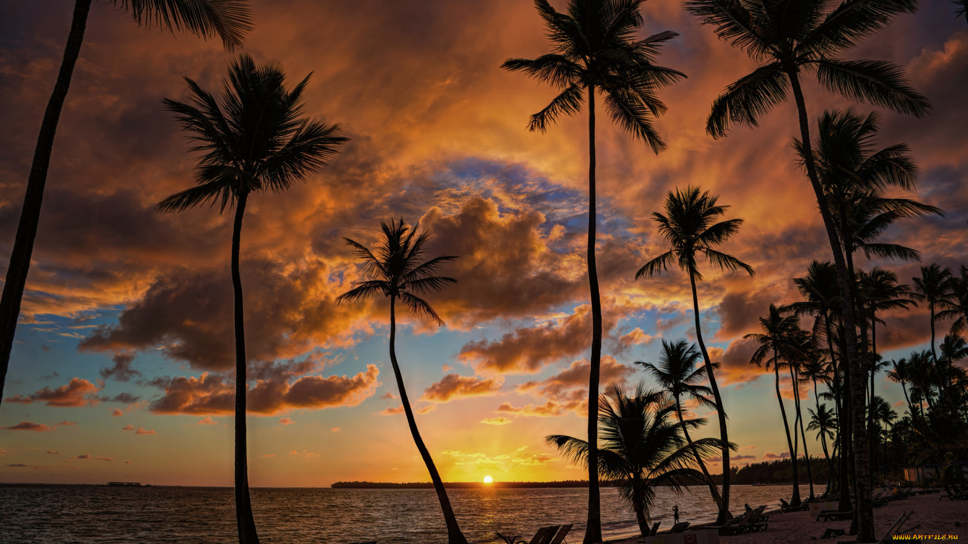 природа, тропики, курорт