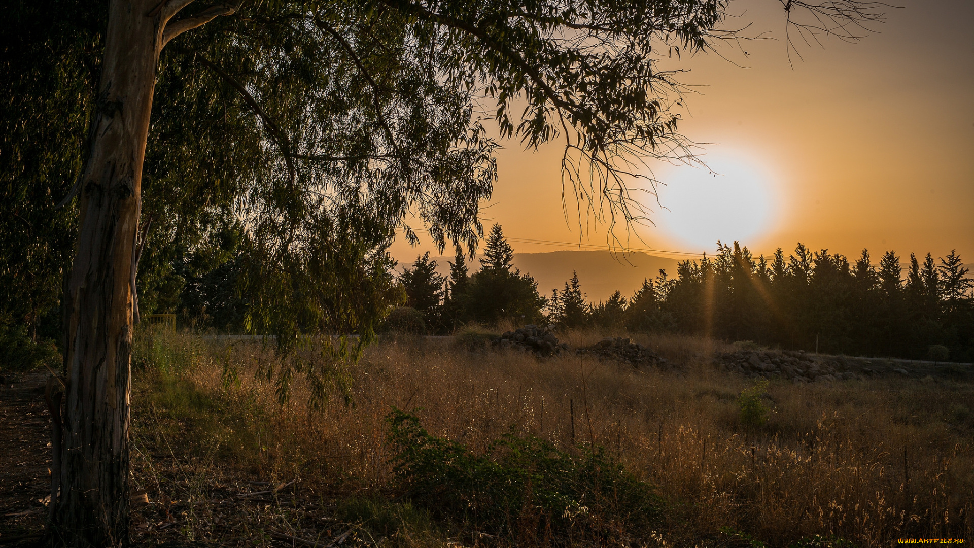 природа, восходы, закаты, рассвет