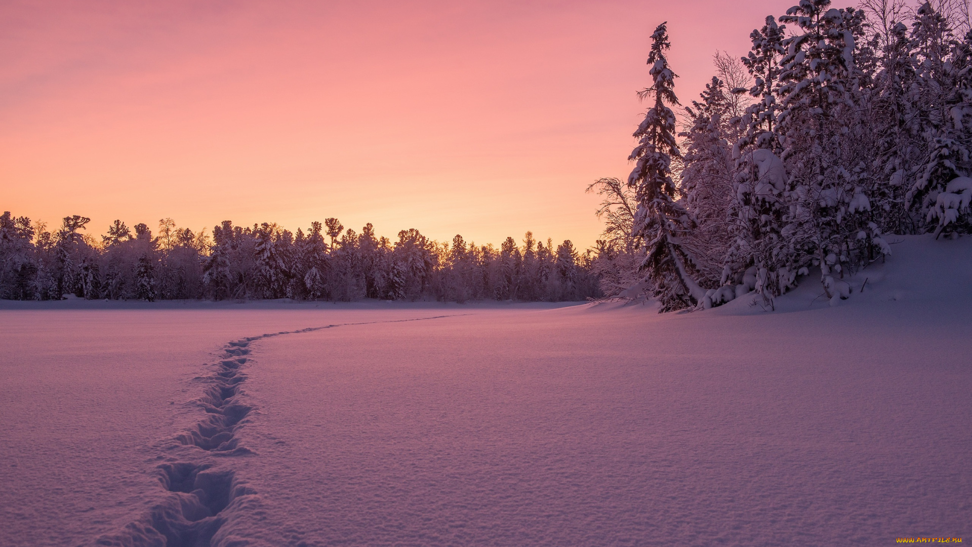 природа, зима, снег, ночь, след