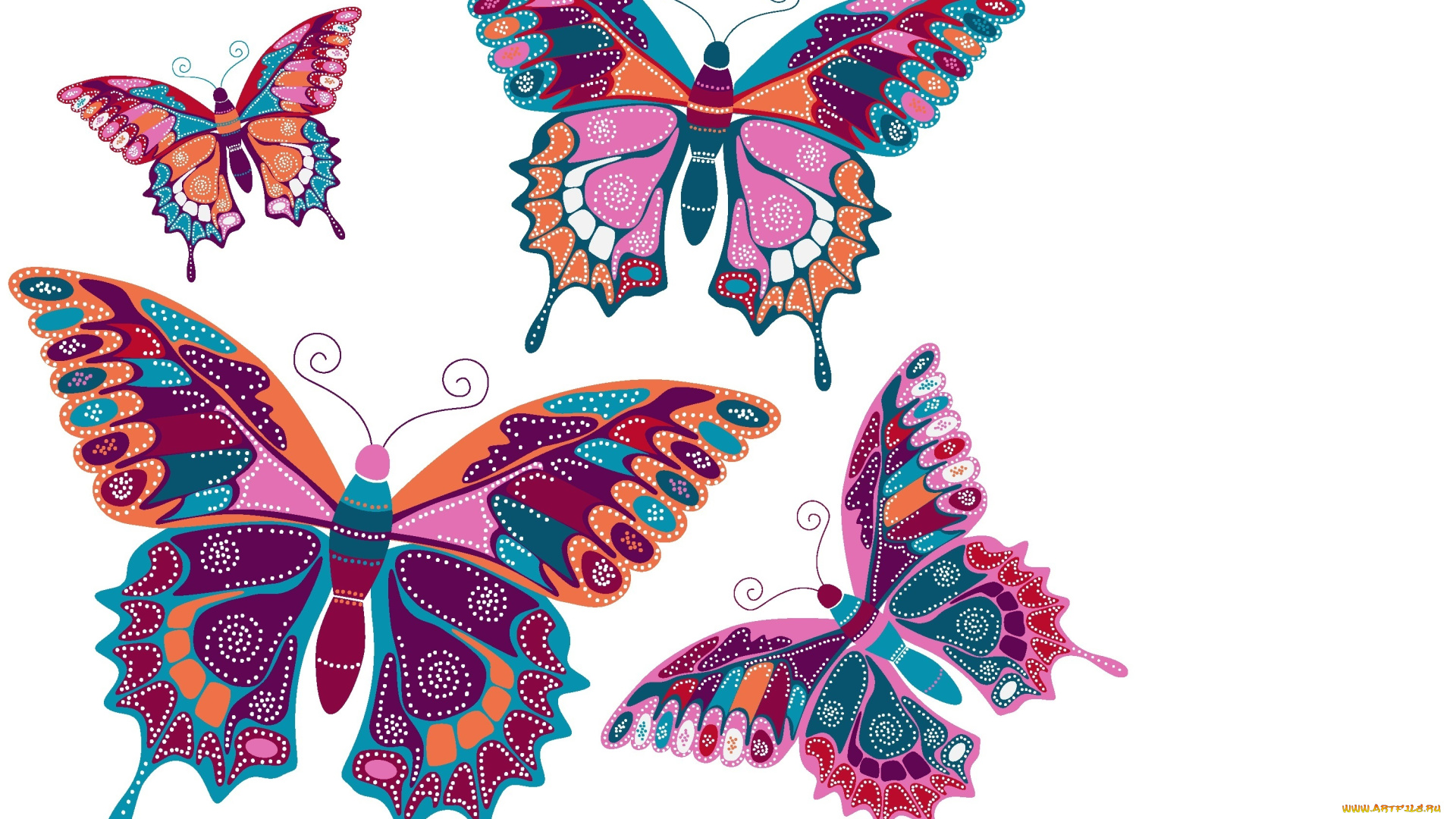 векторная, графика, животные, , animals, фон, бабочки, вектор