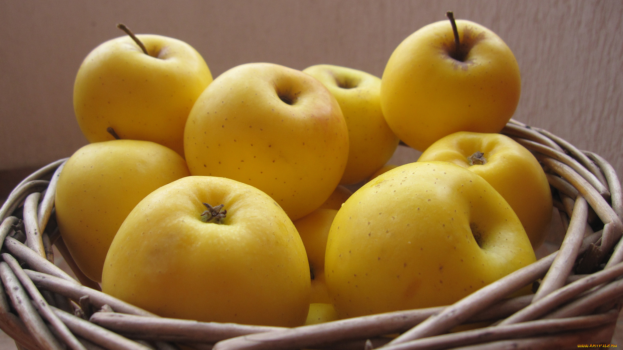 еда, Яблоки, плоды