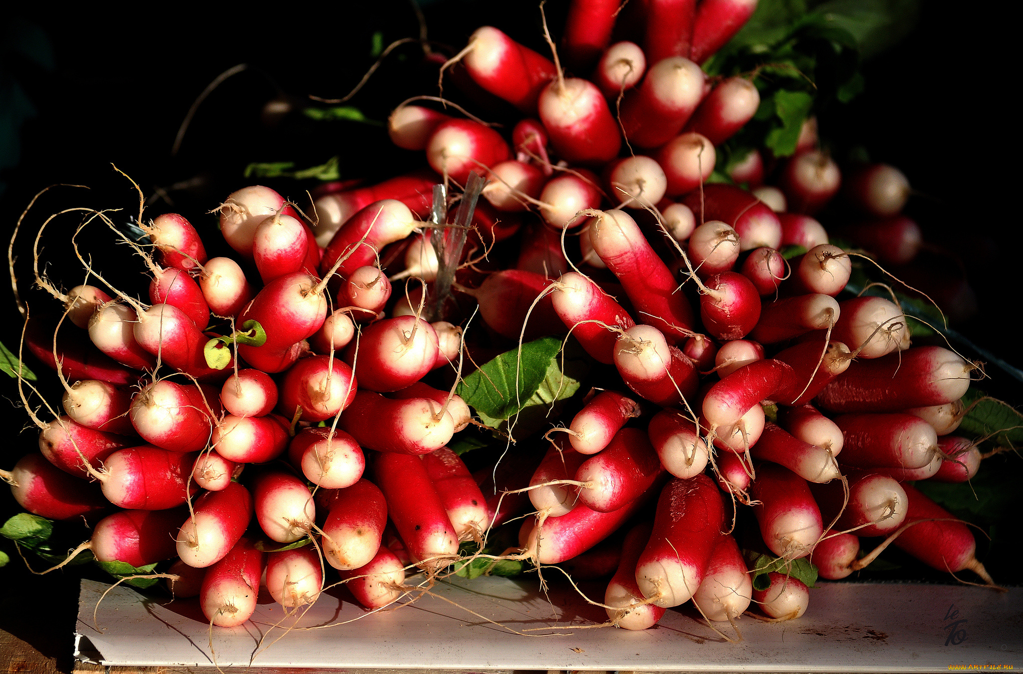 еда, редис, , репа, , редька, корнеплоды