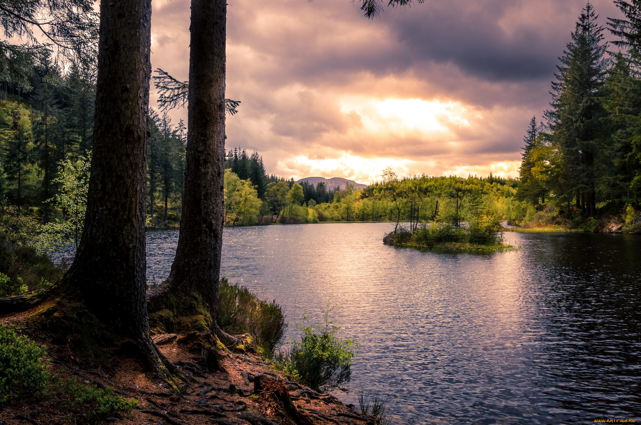 природа, реки, озера, река, лес