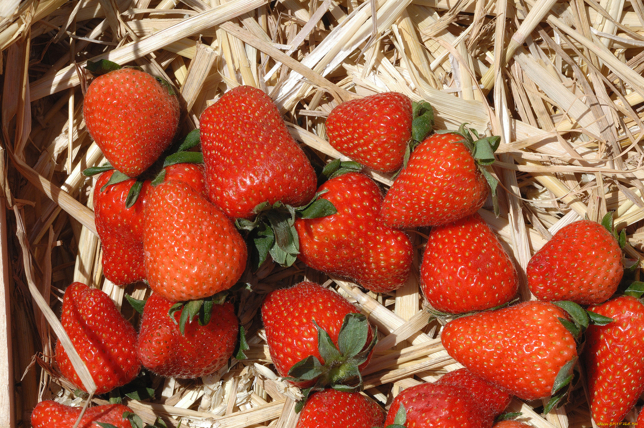 еда, клубника, , земляника, ягоды