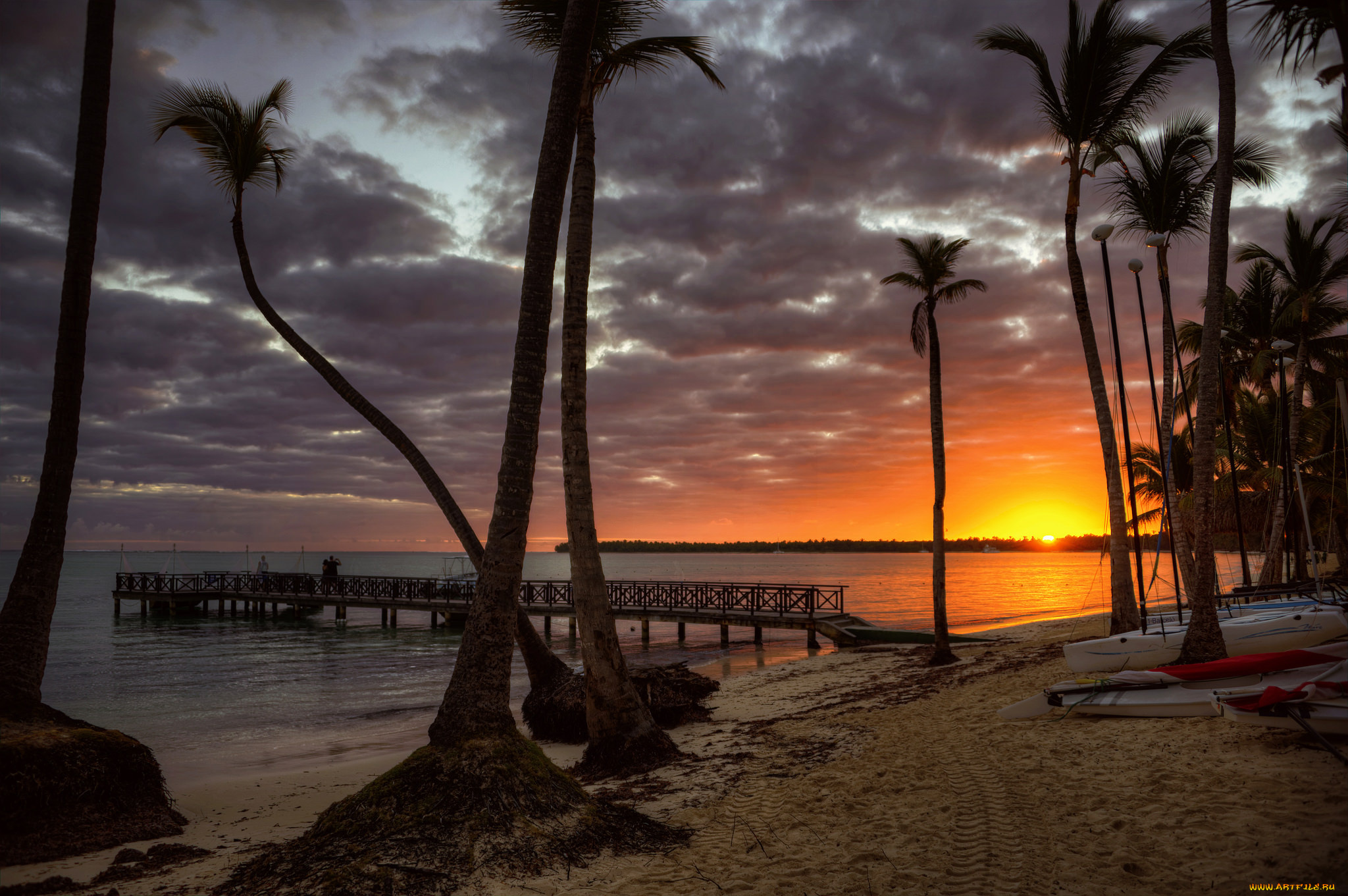 природа, тропики, курорт