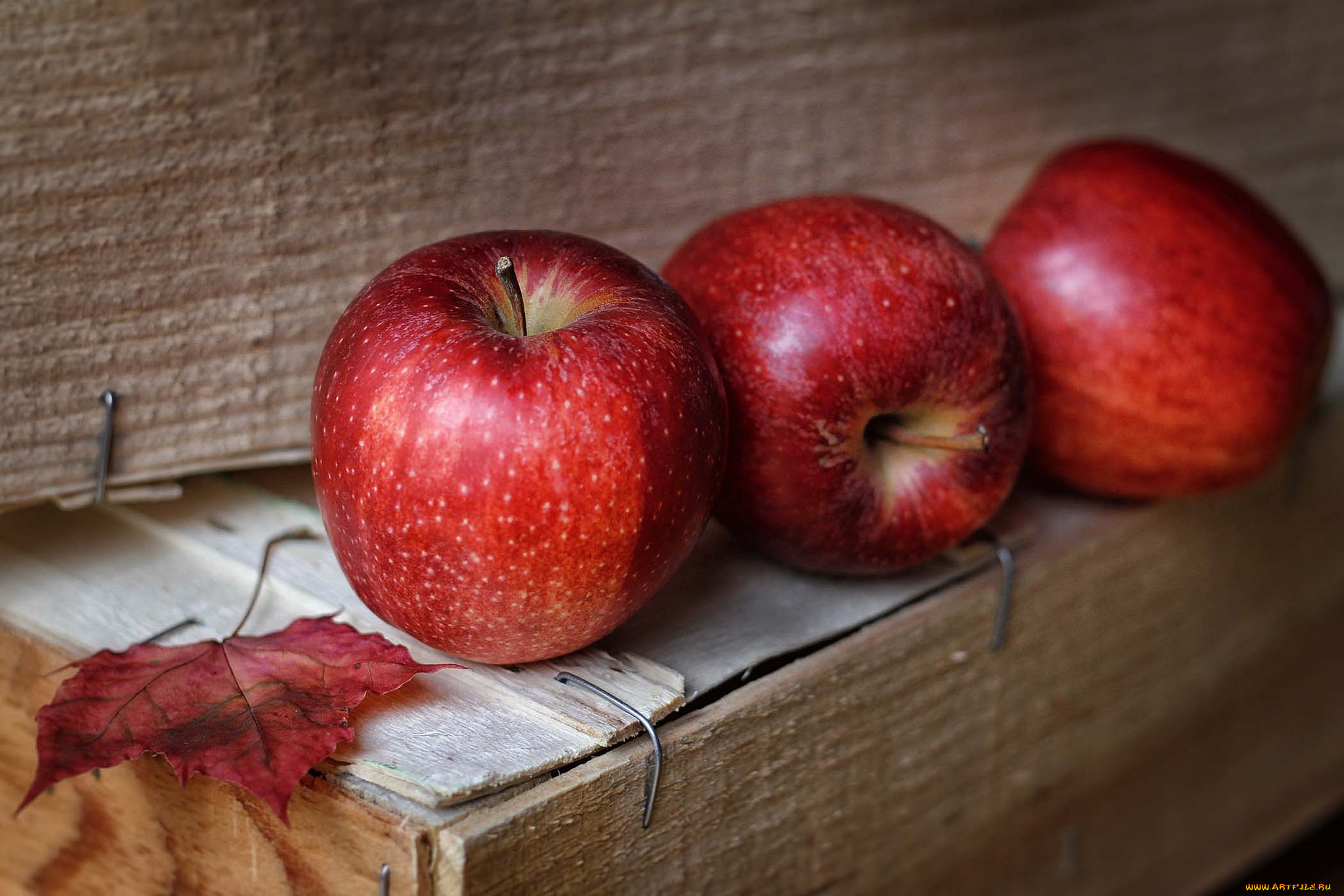 еда, Яблоки, плоды