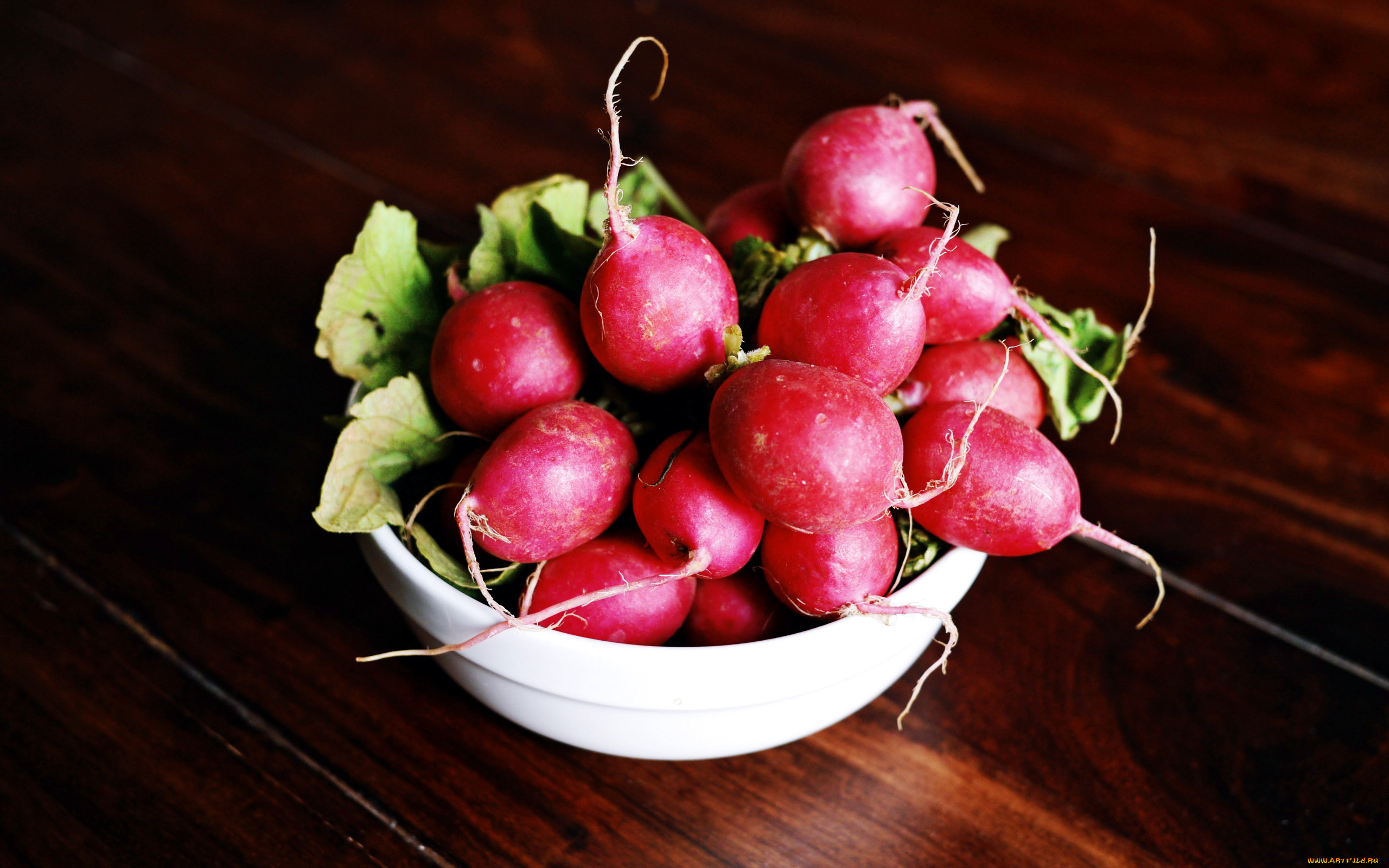 еда, редис, , репа, , редька, красная, редиска