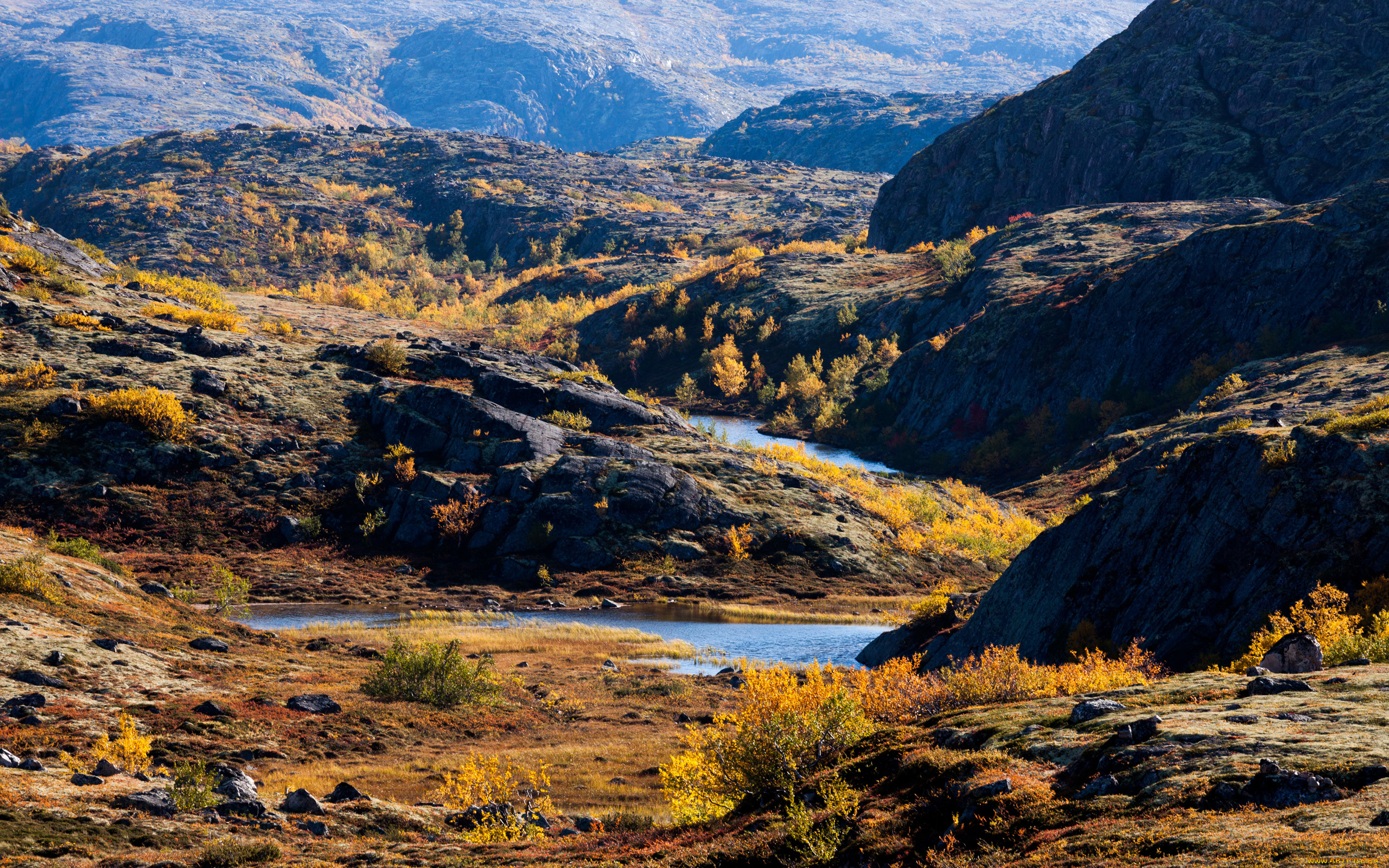 тундра, природа, пейзажи, ручей, кольский