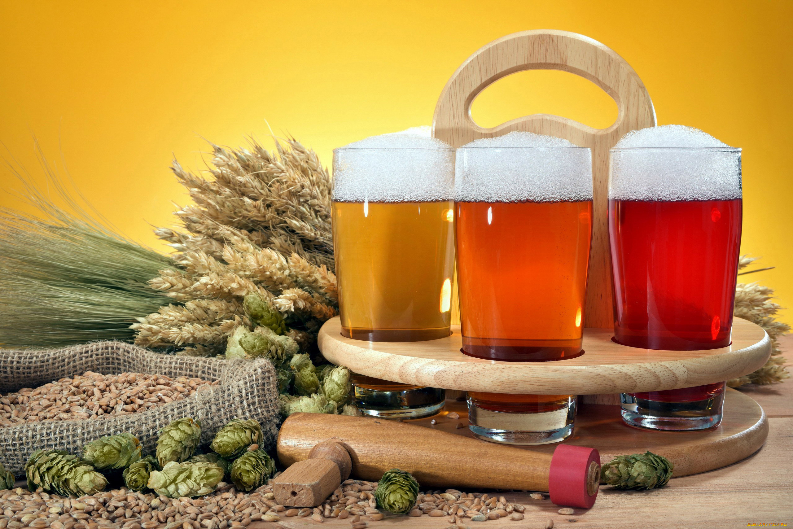еда, напитки, , пиво, хмель, бокалы, колосья