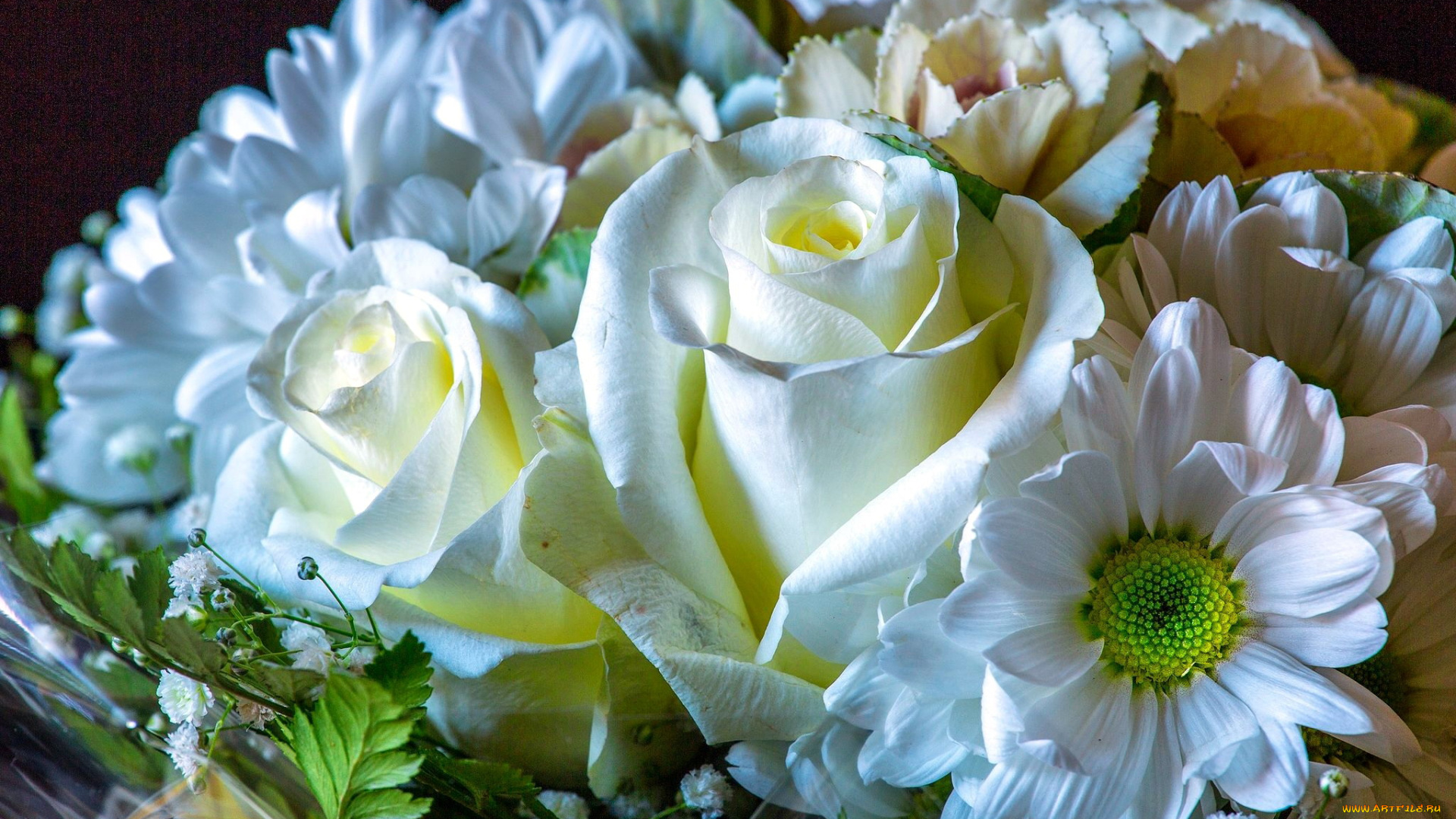 цветы, букеты, , композиции, белый