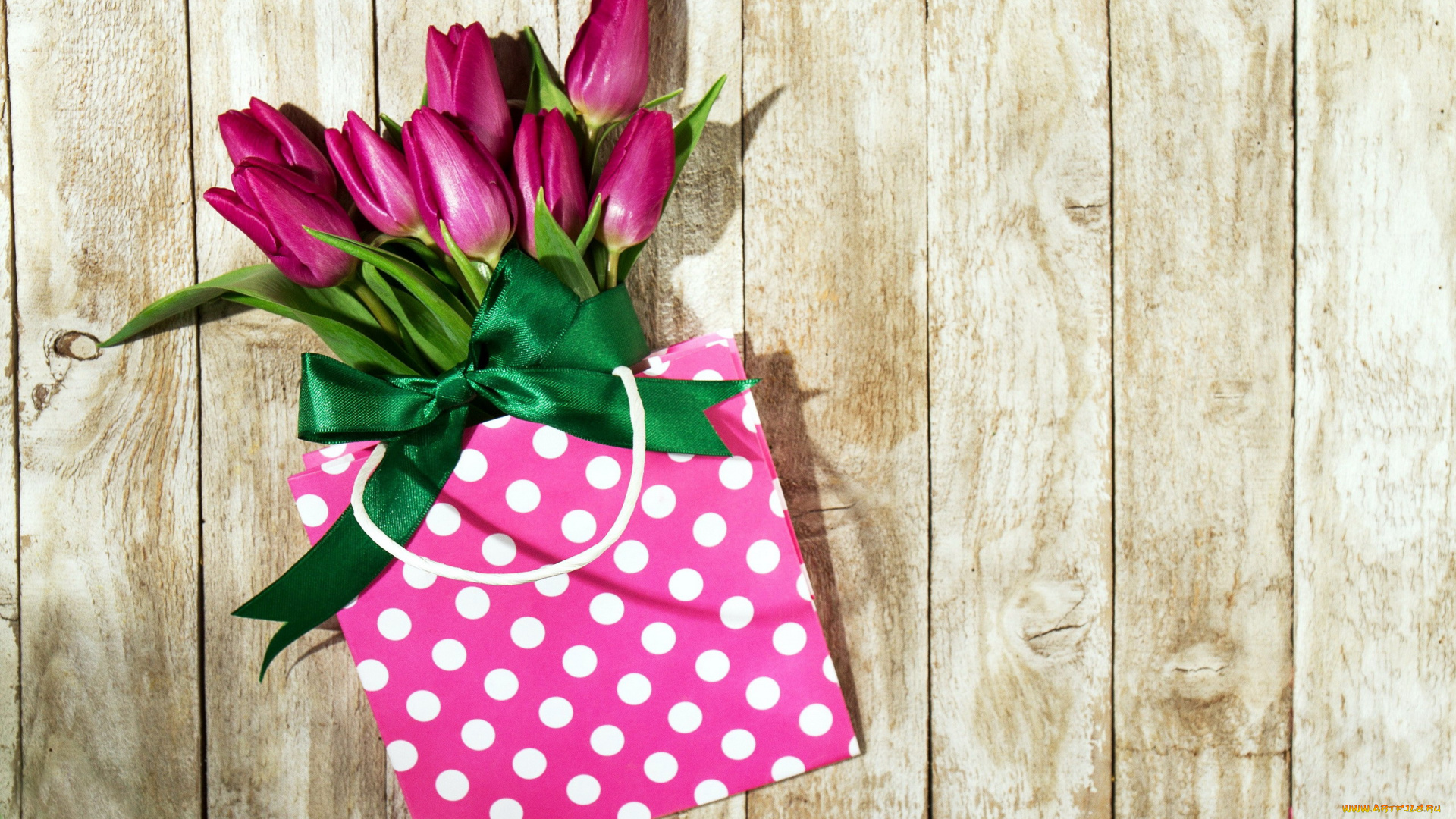 цветы, тюльпаны, бант, пакет, бутоны