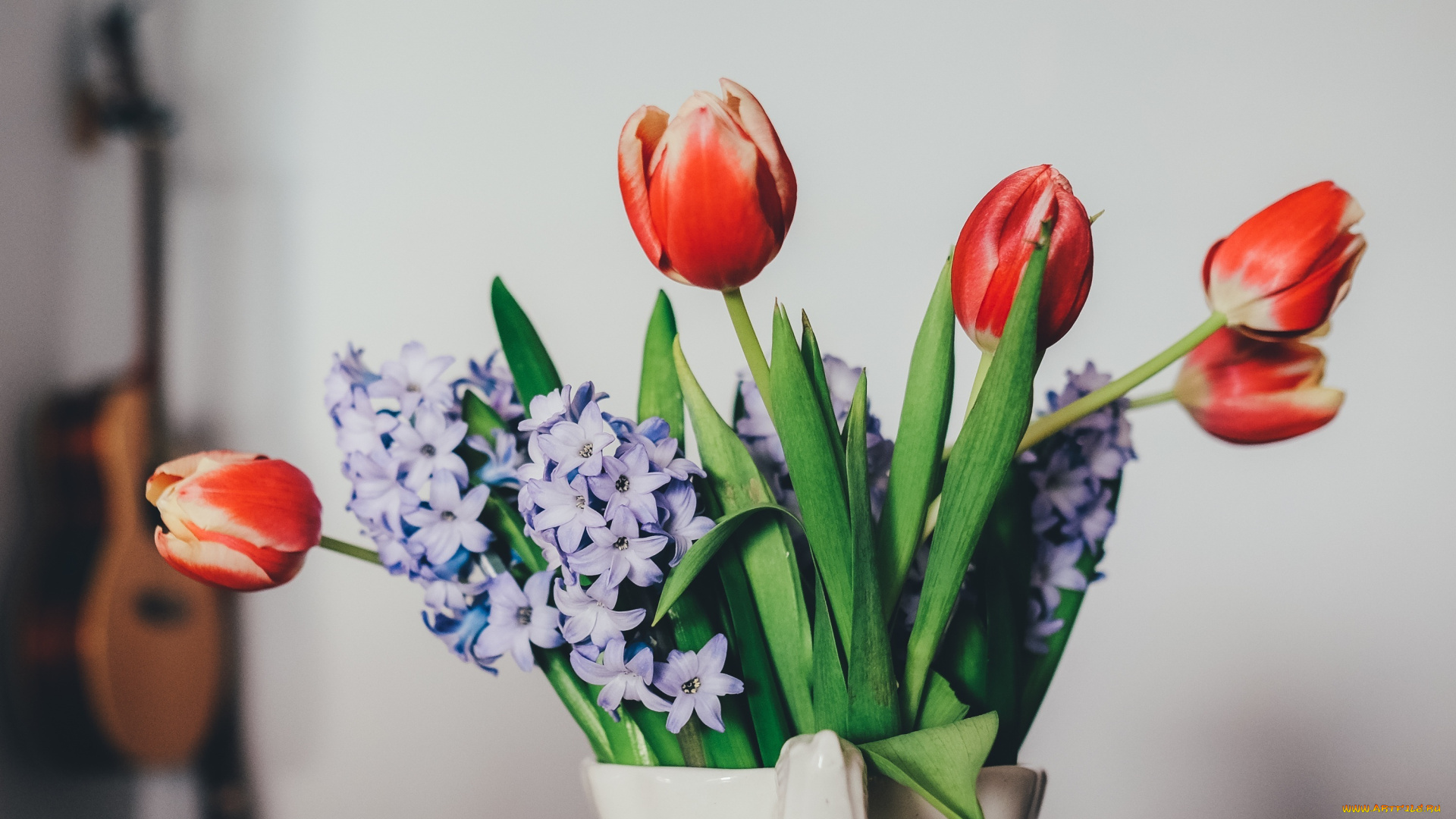 цветы, букеты, , композиции, букет