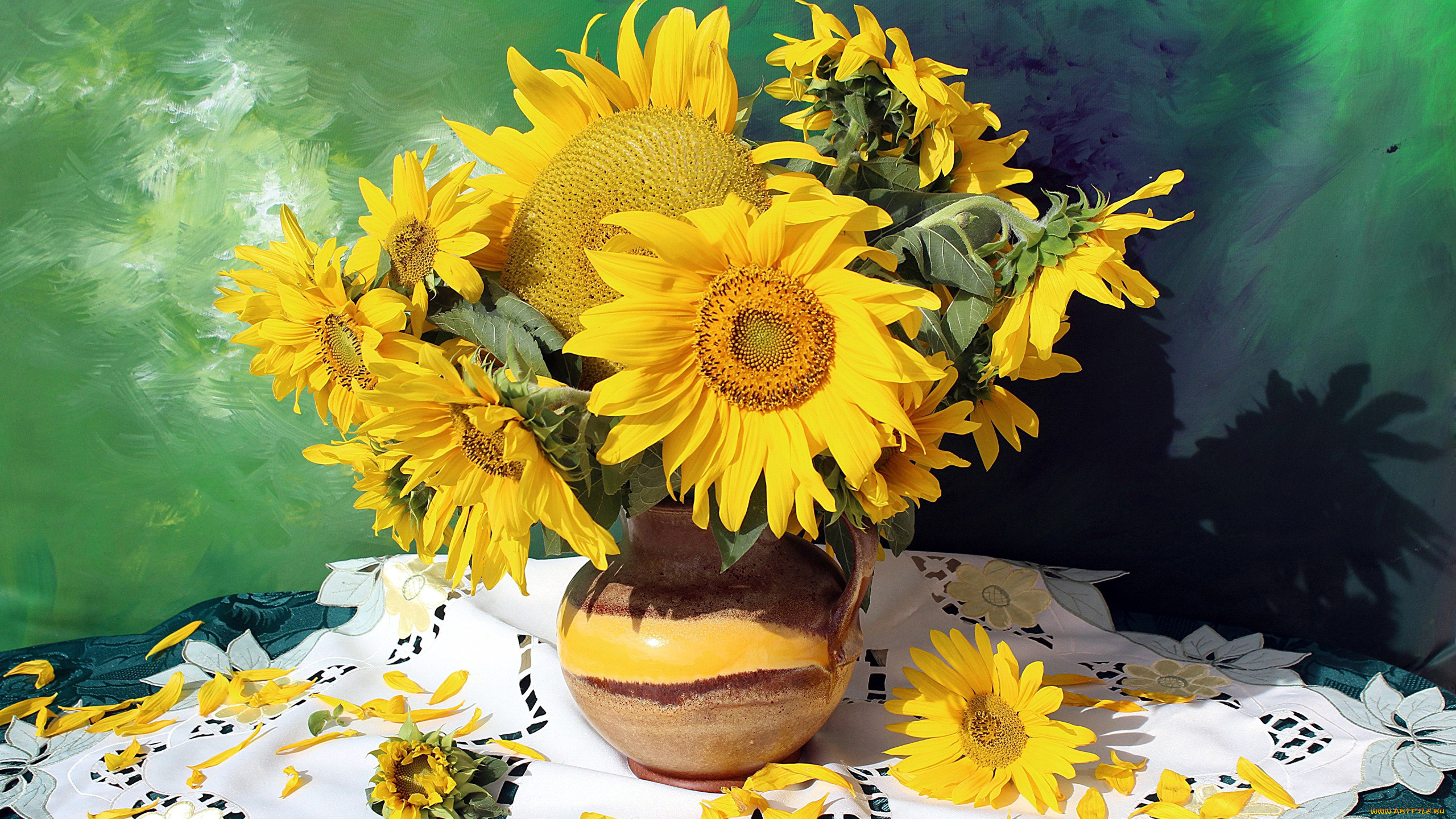 цветы, подсолнухи, подсолнух