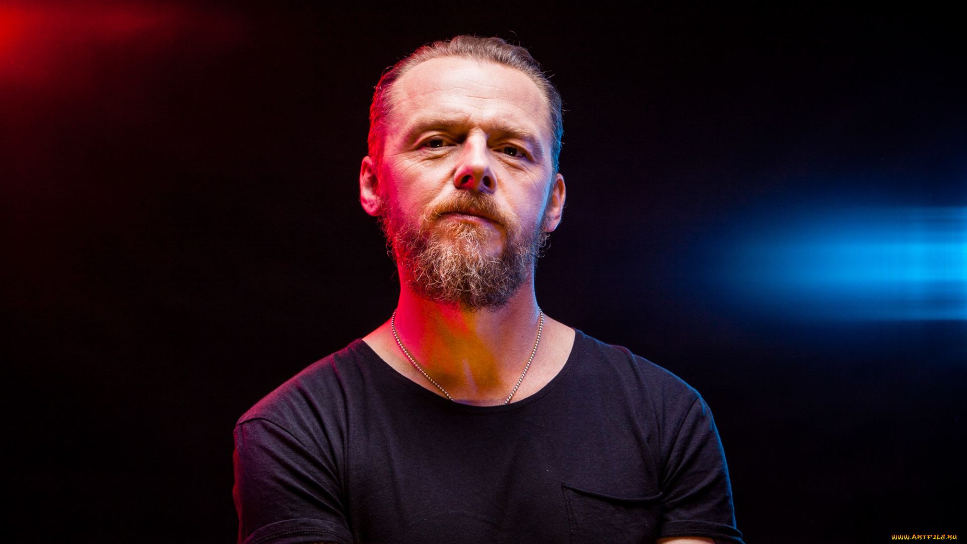 мужчины, -unsort, simon, pegg, лицо, борода, футболка