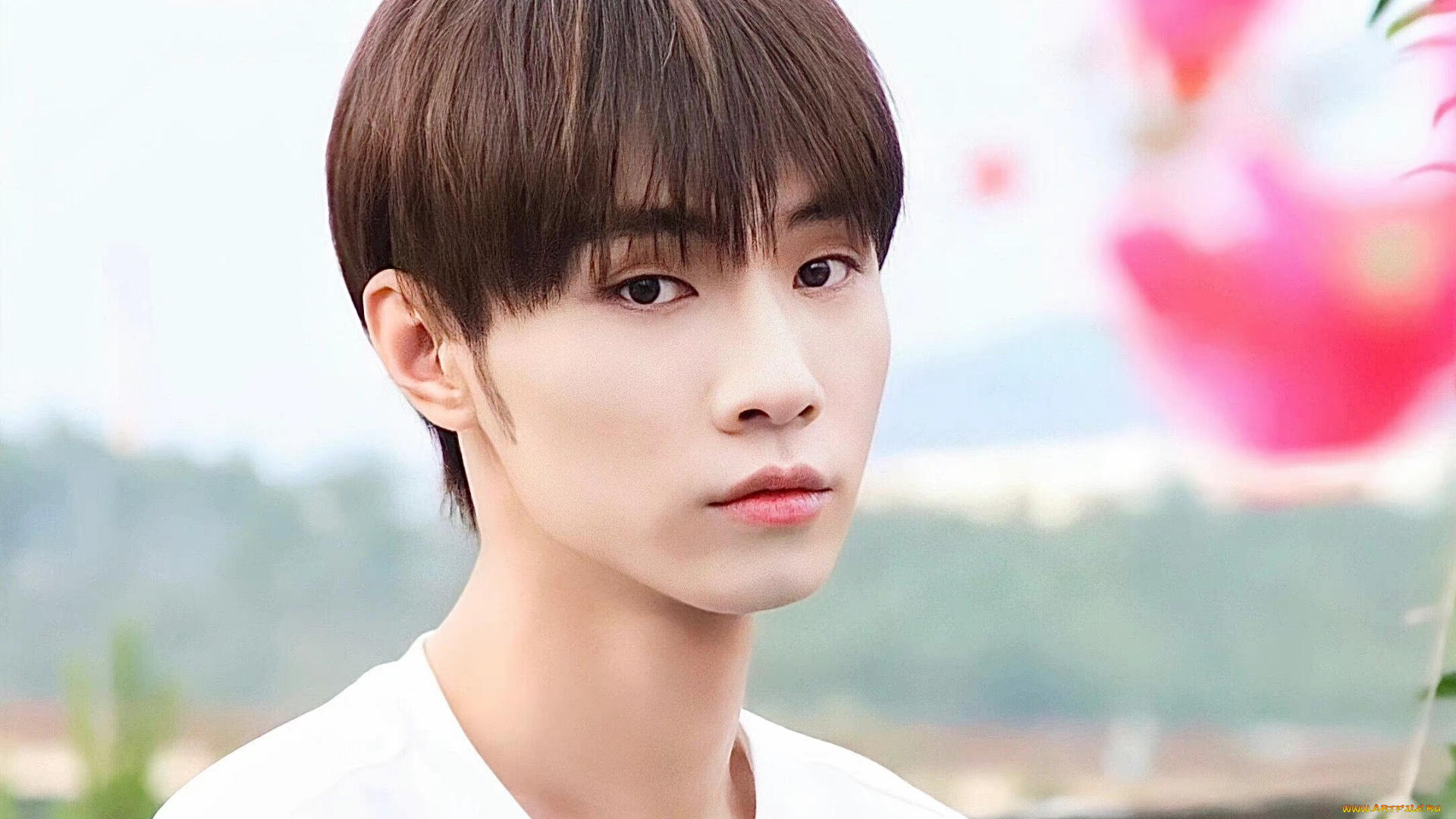 мужчины, song, ji, yang, сун, цзиян, китайский, актёр, певец