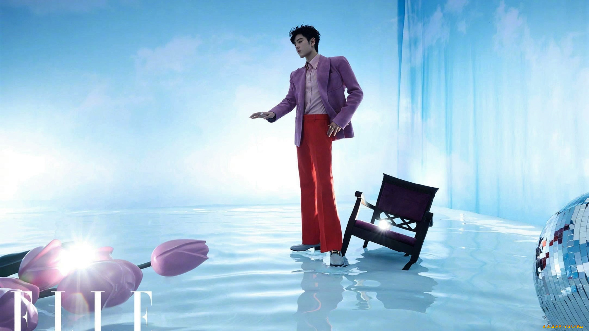 мужчины, xiao, zhan, пиджак, кресло, лед, цветы, шар