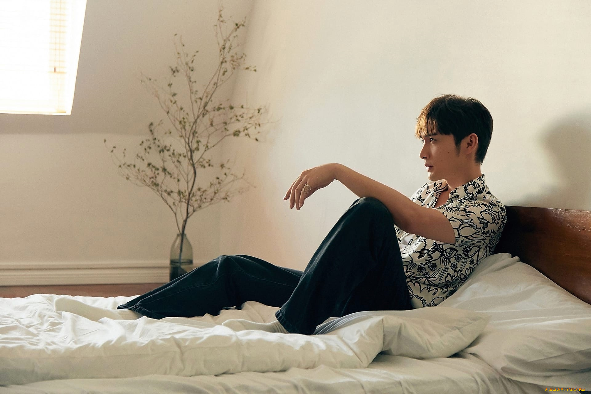 zhang, bin, bin, мужчины, актер, постель, дерево