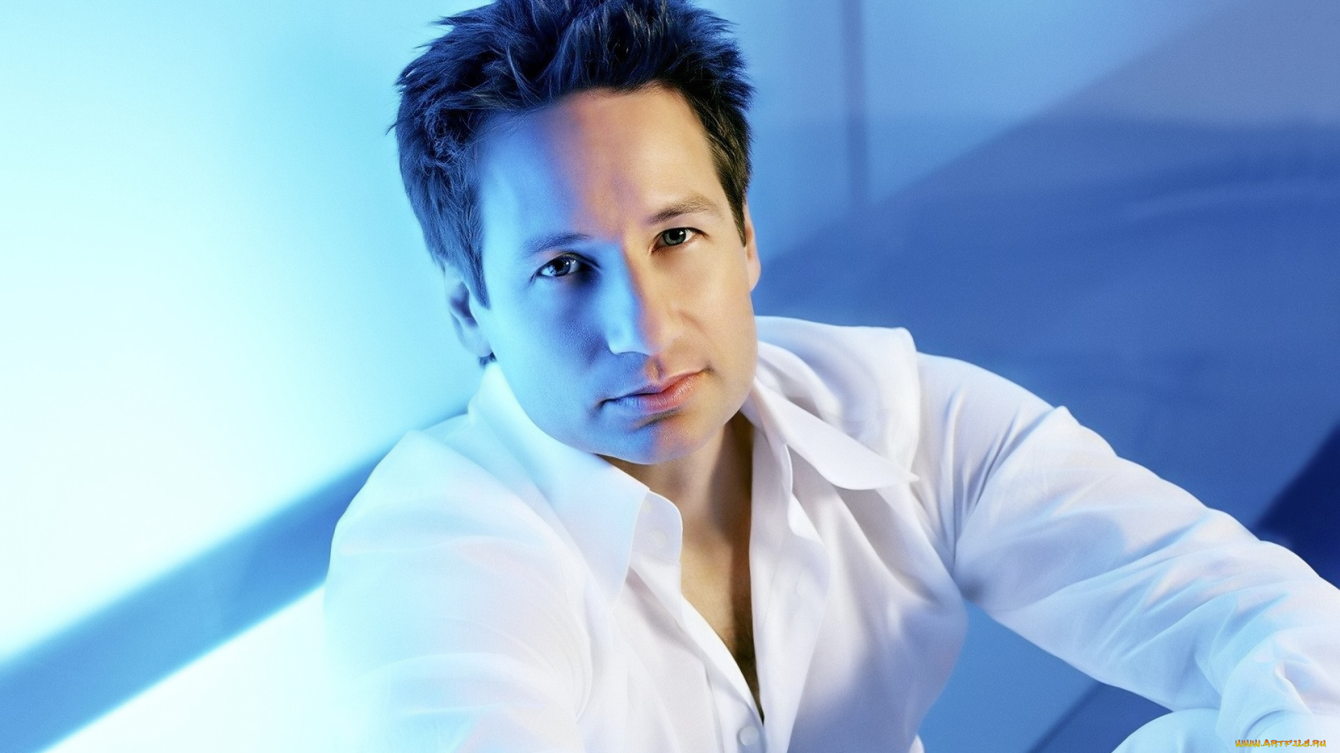 мужчины, david, duchovny, актер, лицо, рубашка