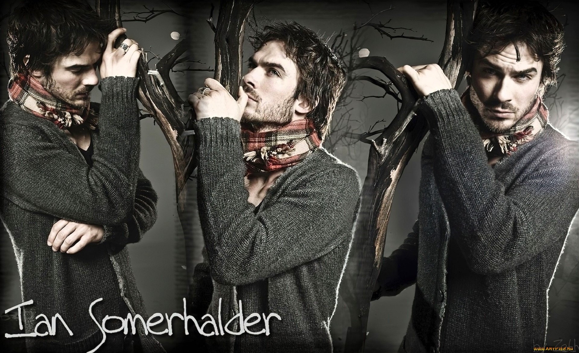 мужчины, ian, somerhalder, актер, коллаж, шарф, свитер, ветки