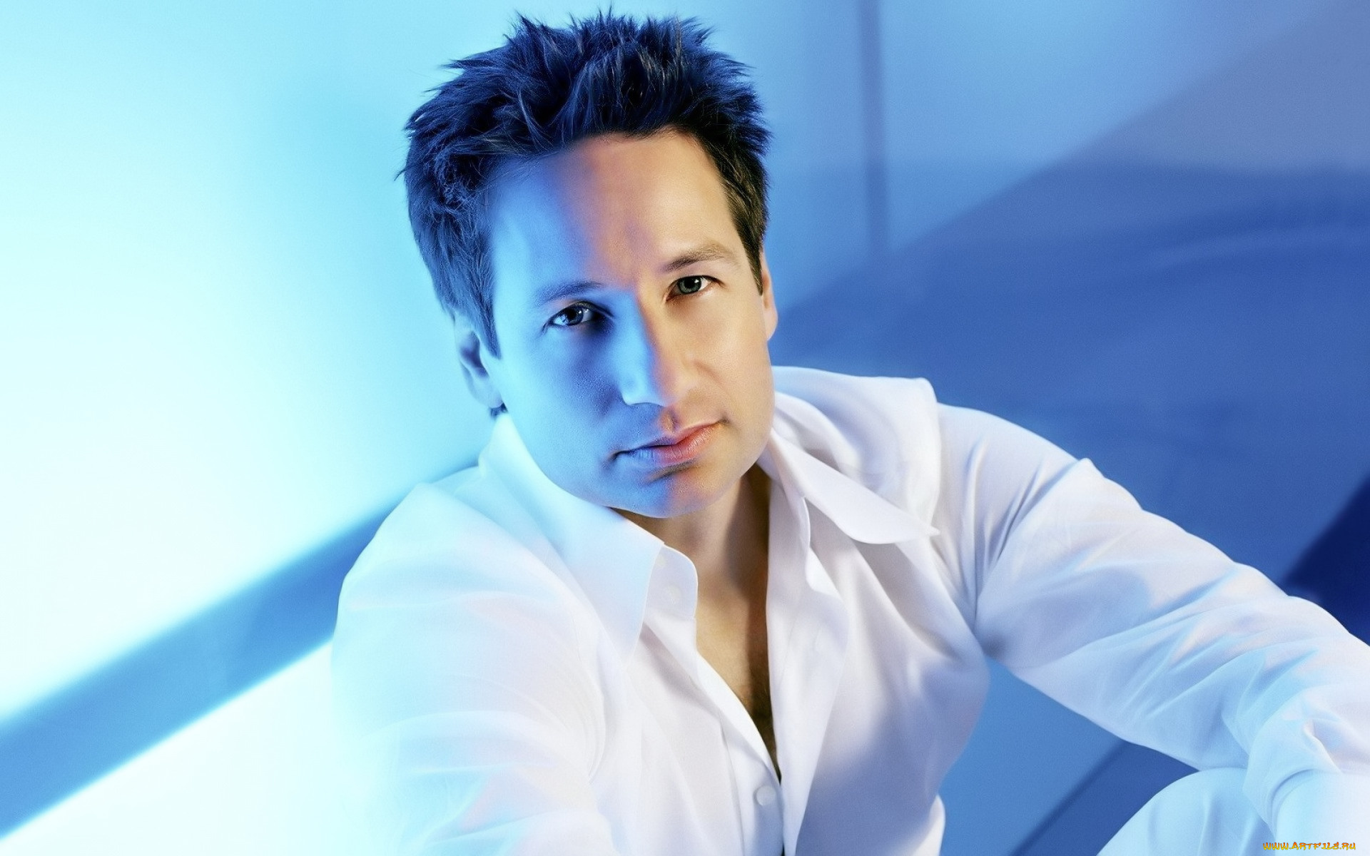 мужчины, david, duchovny, актер, лицо, рубашка