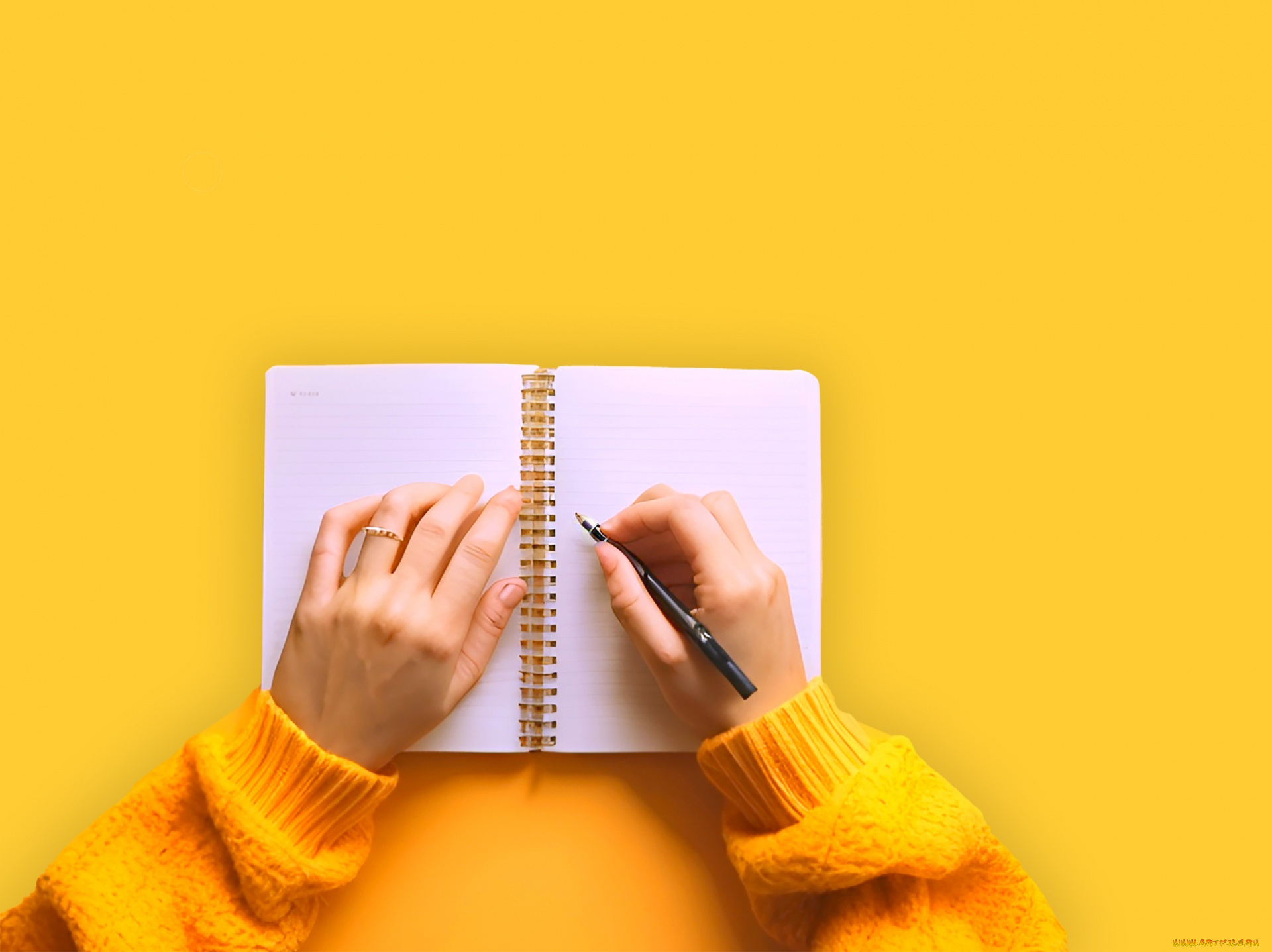 разное, руки, , ноги, женские, блокнот, ручка