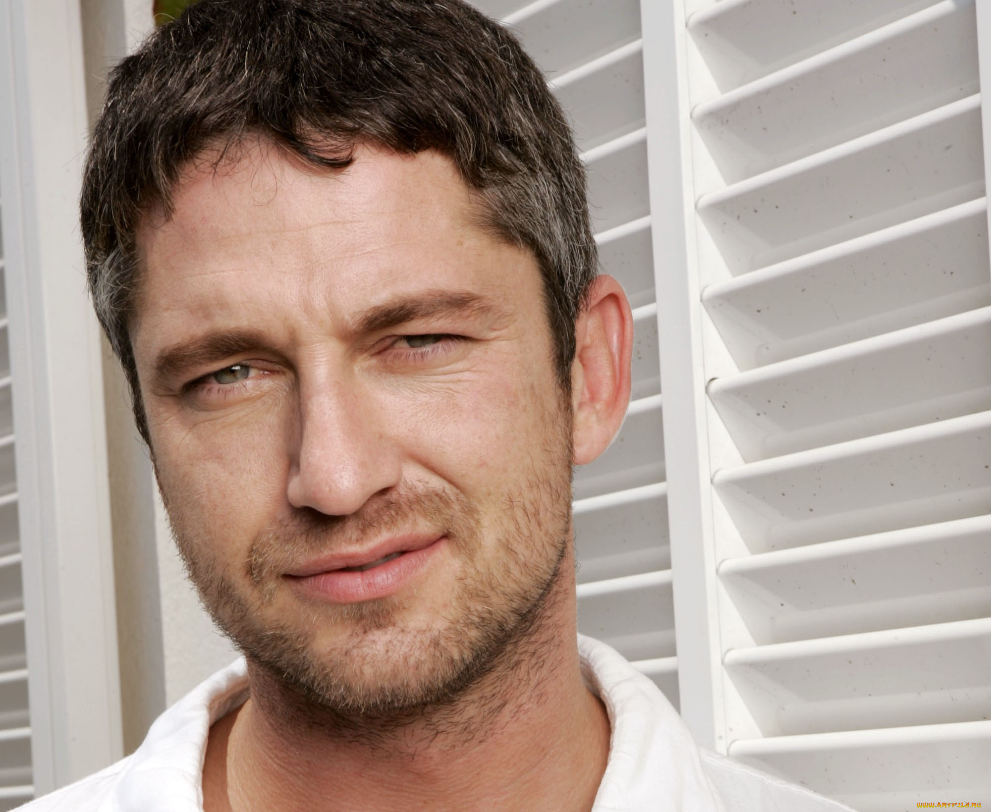 мужчины, gerard, butler, актер, лицо, жалюзи