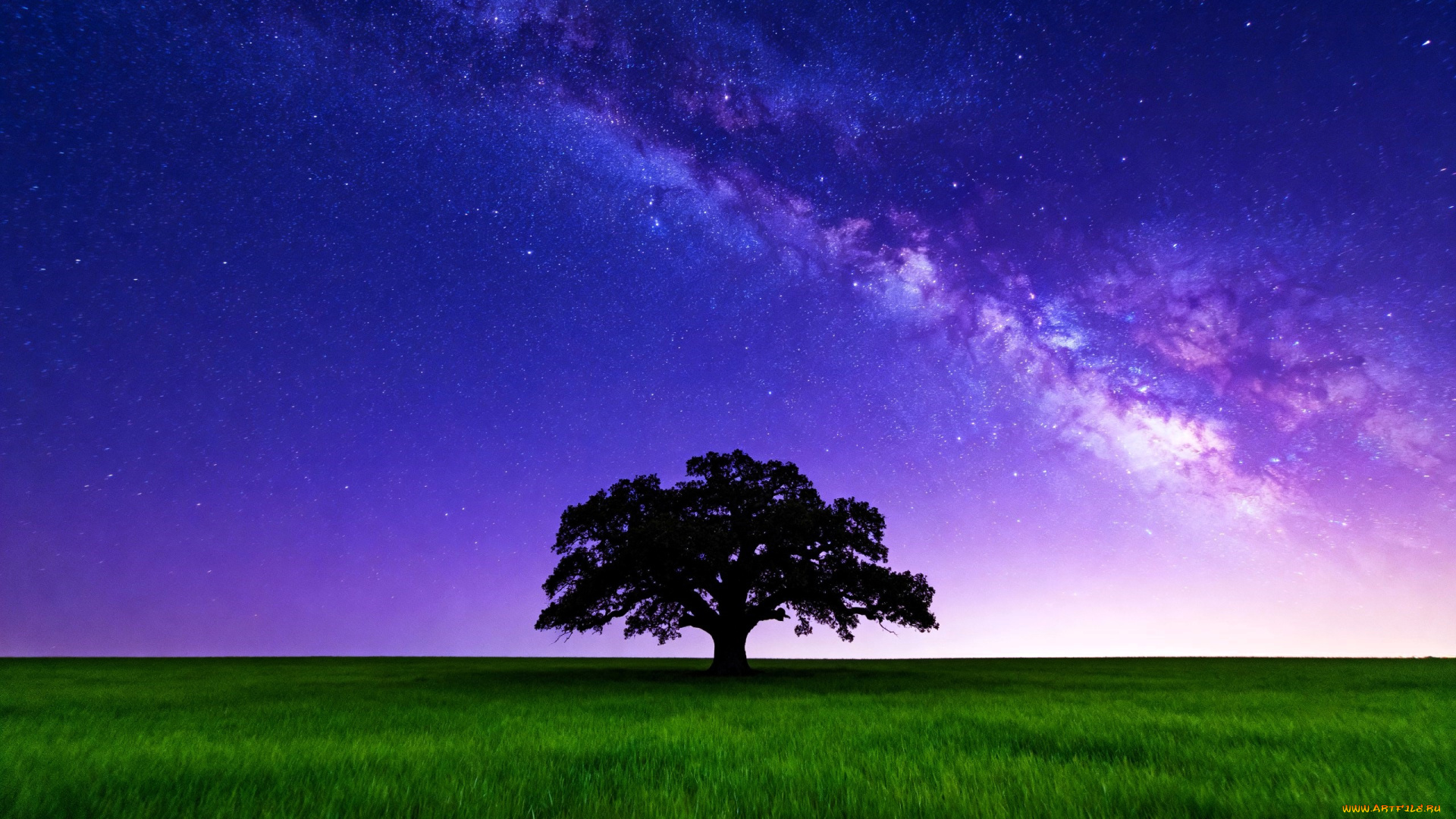 3д, графика, природа, , nature, поле, трава, дерево, небо, звезды, млечный, путь