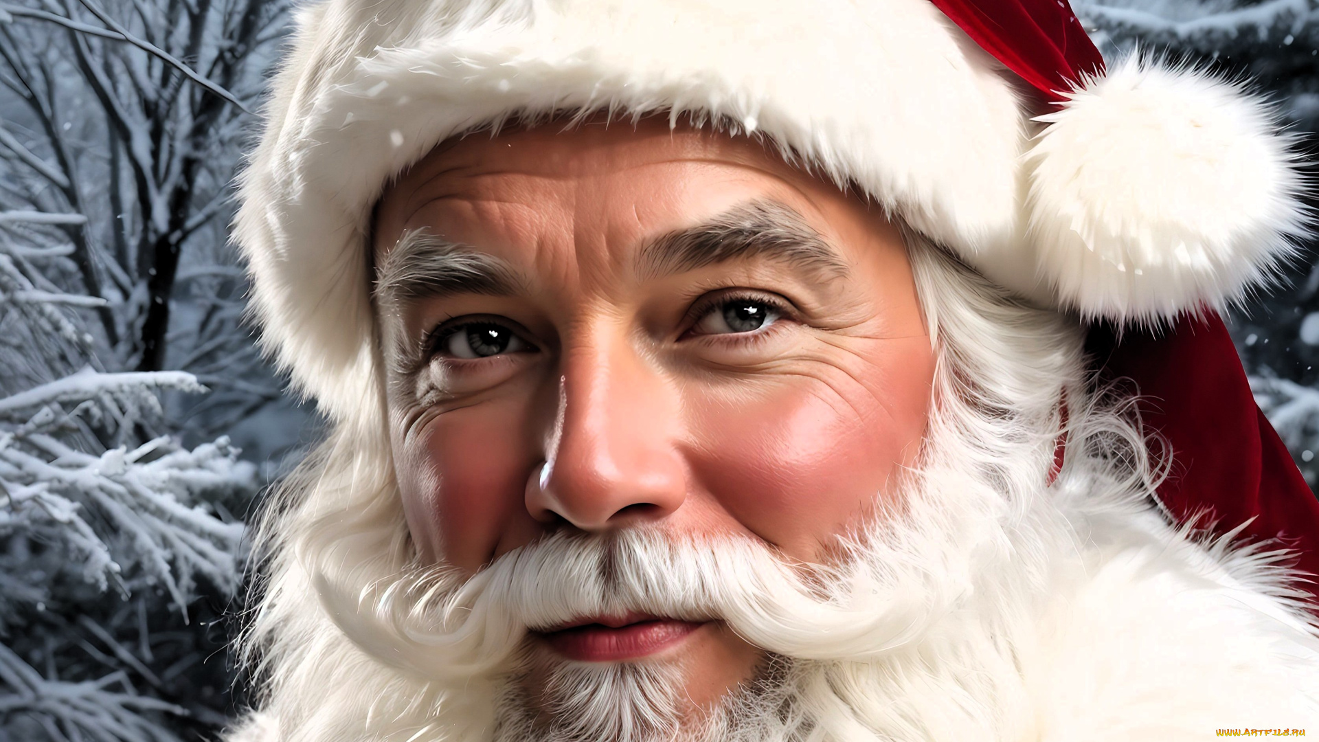 праздничные, дед, мороз, , санта, клаус, санта-клаус, шапка, лицо, борода, лес, снег