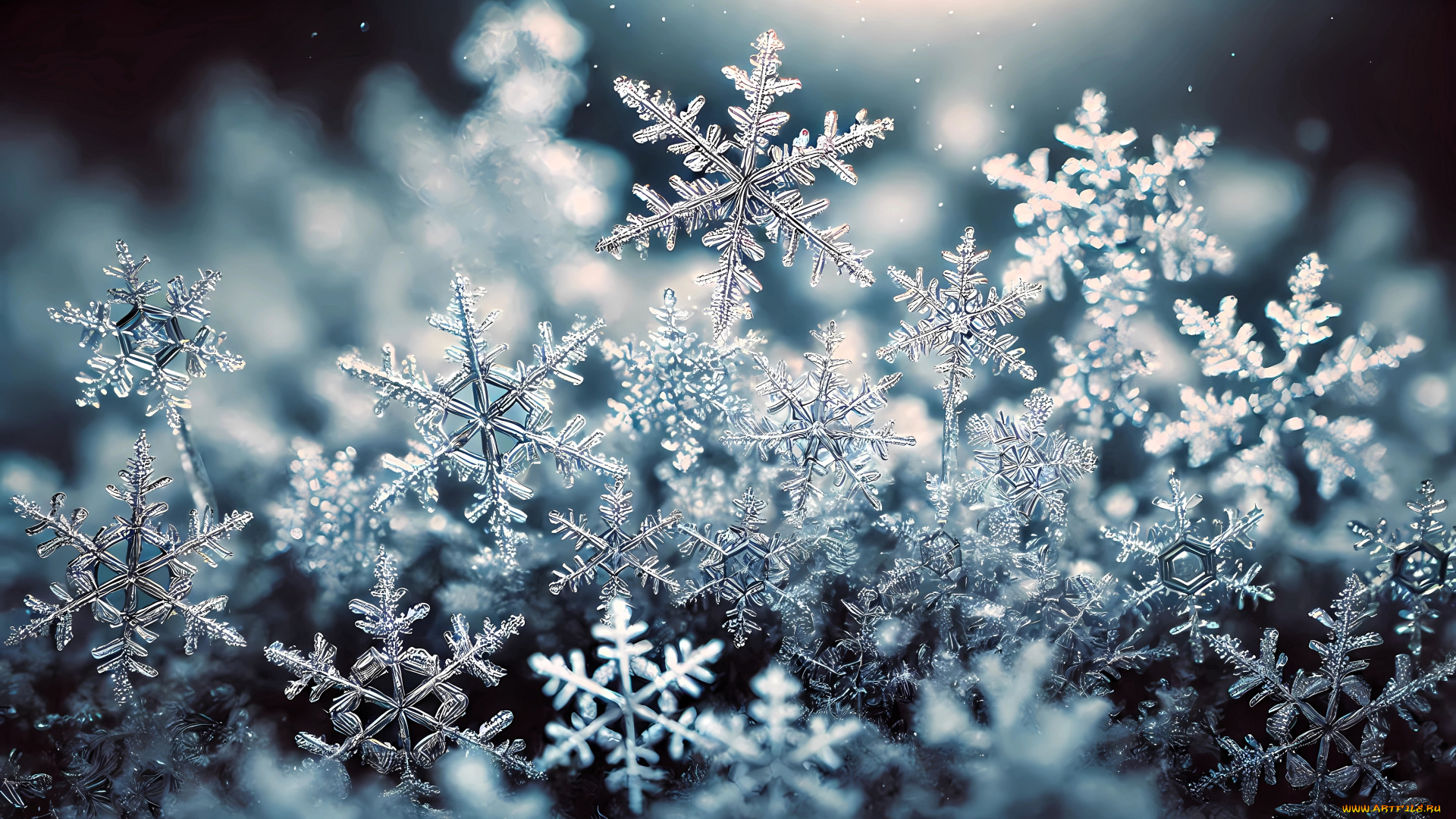 праздничные, снежинки, и, звёздочки, снежинки