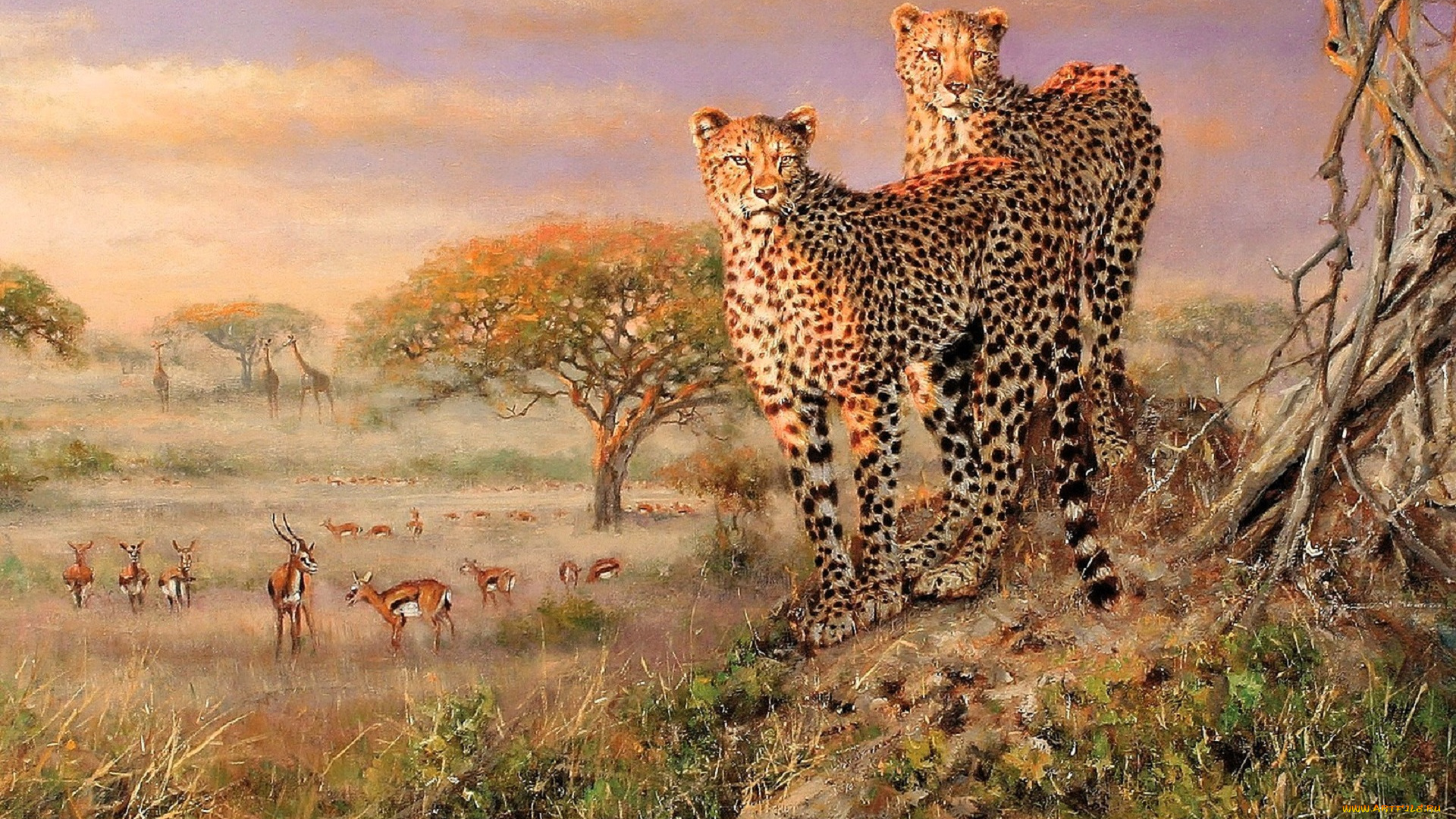 рисованное, eric, forlee, гепарды, газели, деревья, трава, саванна