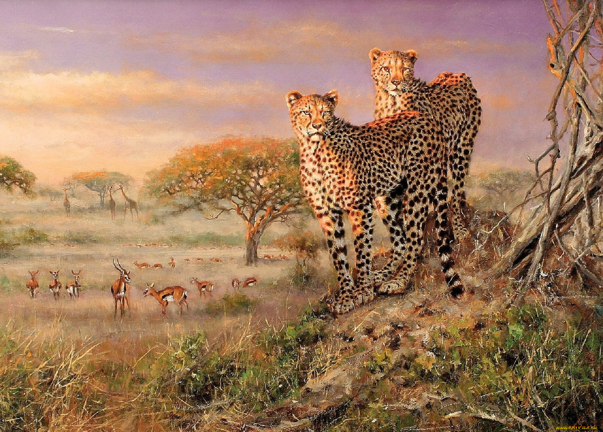 рисованное, eric, forlee, гепарды, газели, деревья, трава, саванна