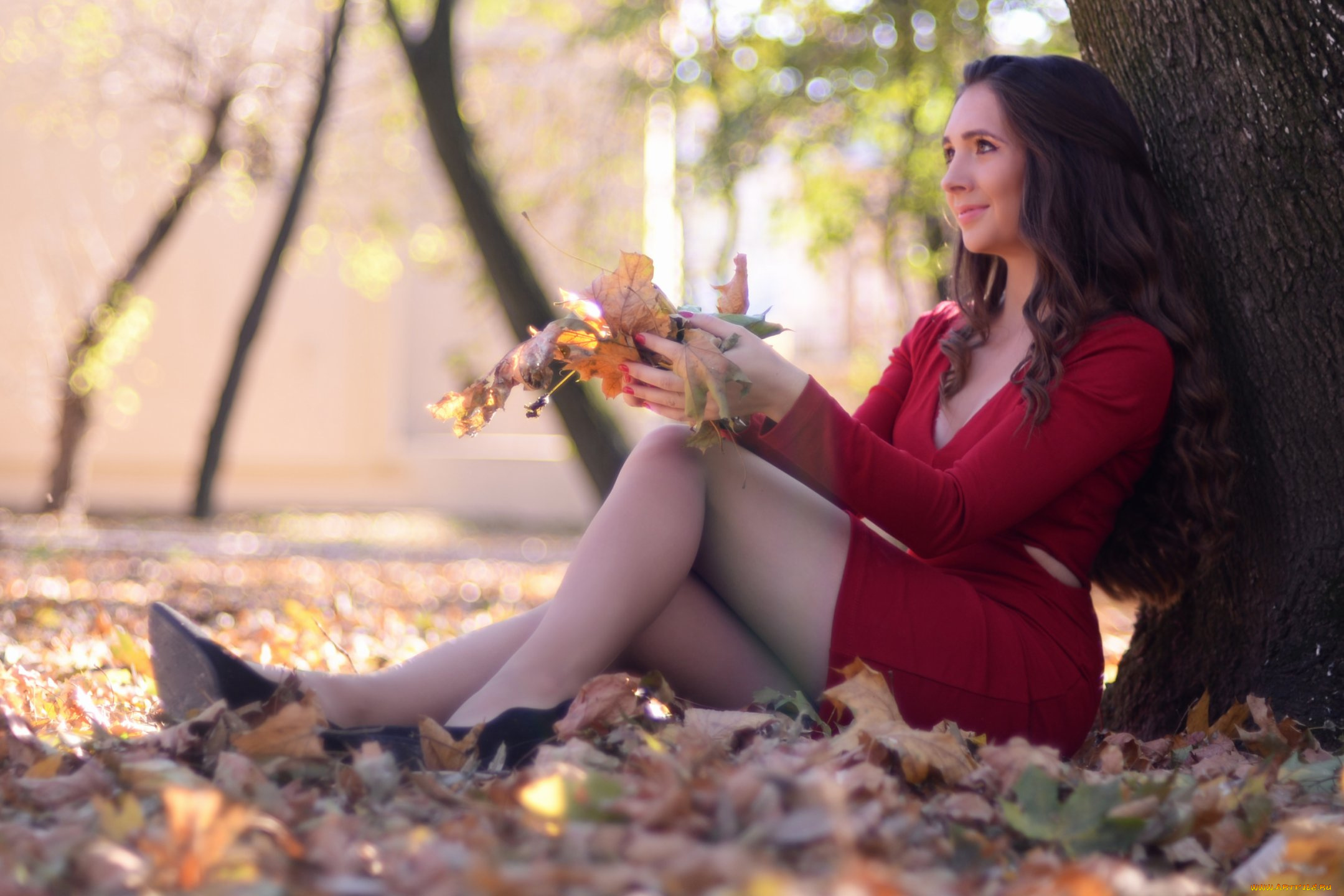 amanda, rochelle, девушки, -, брюнетки, , шатенки, девушка, женщина, шатенка, темноволосая, сексуальная, модель, звезда, позирует, разная, обувь, верхняя, стильная, одежда, нижнее, эротическое, бельё, трусы, лифчик, колготки, чулки, аксессуары, макияж, и, множество, элементов, на, фотографии