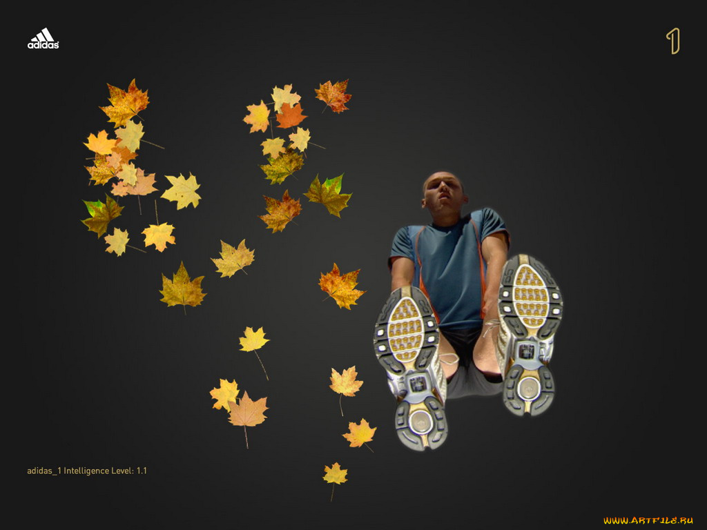 бренды, adidas