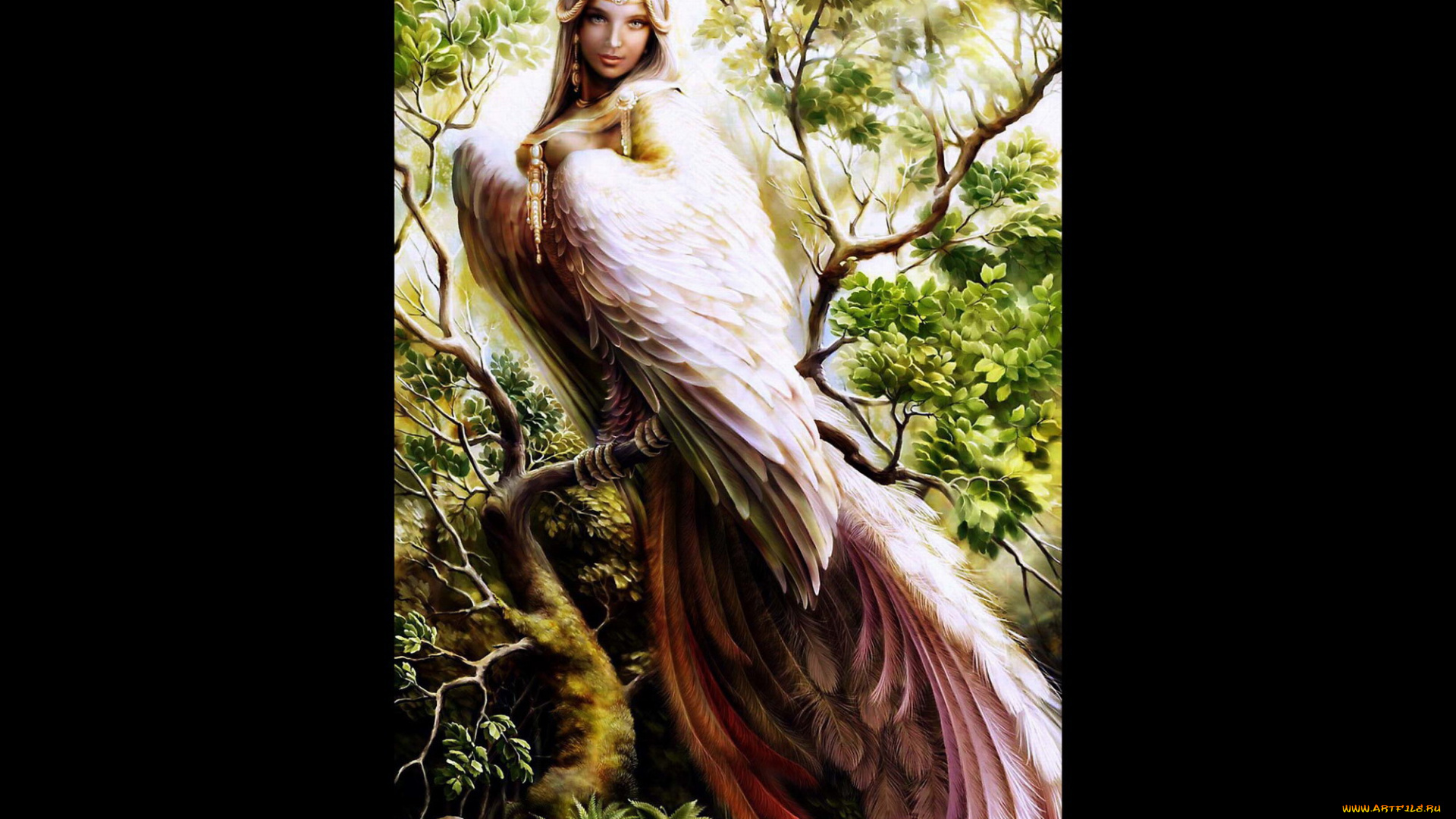 sirin, фэнтези, ангелы