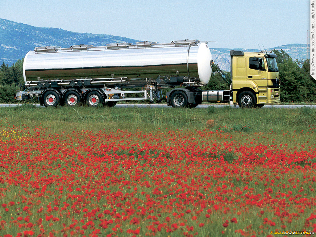 автомобили, mercedes, trucks
