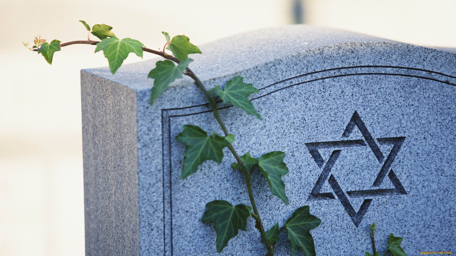 разное, рельефы, статуи, музейные, экспонаты