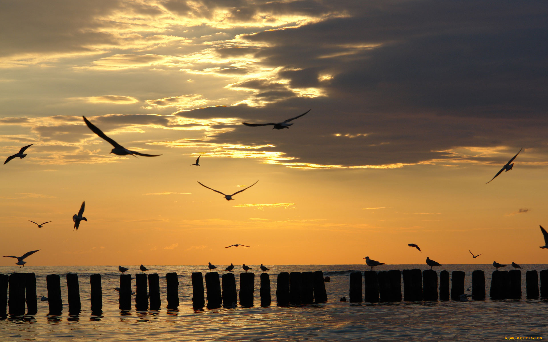 природа, восходы, закаты