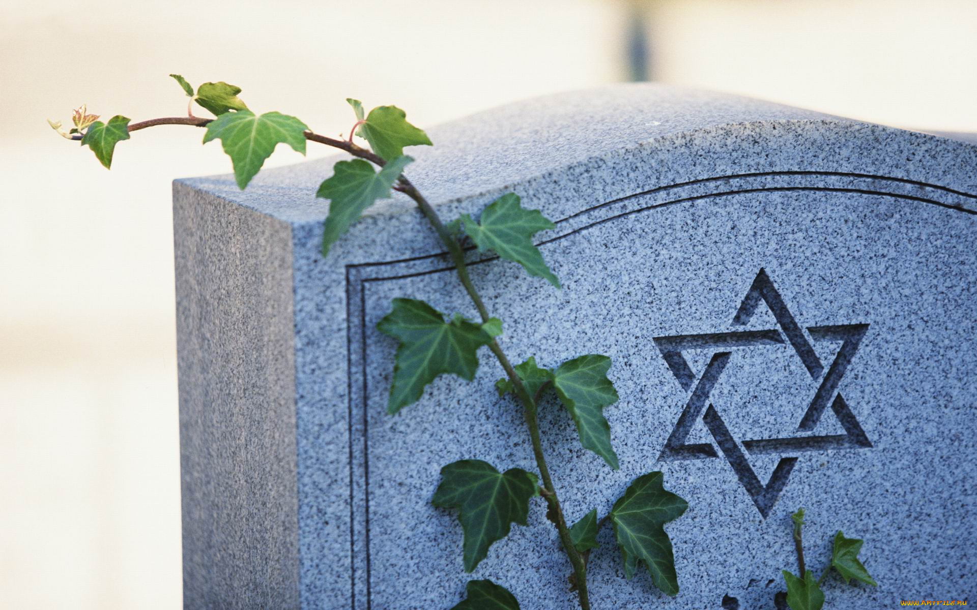 разное, рельефы, статуи, музейные, экспонаты