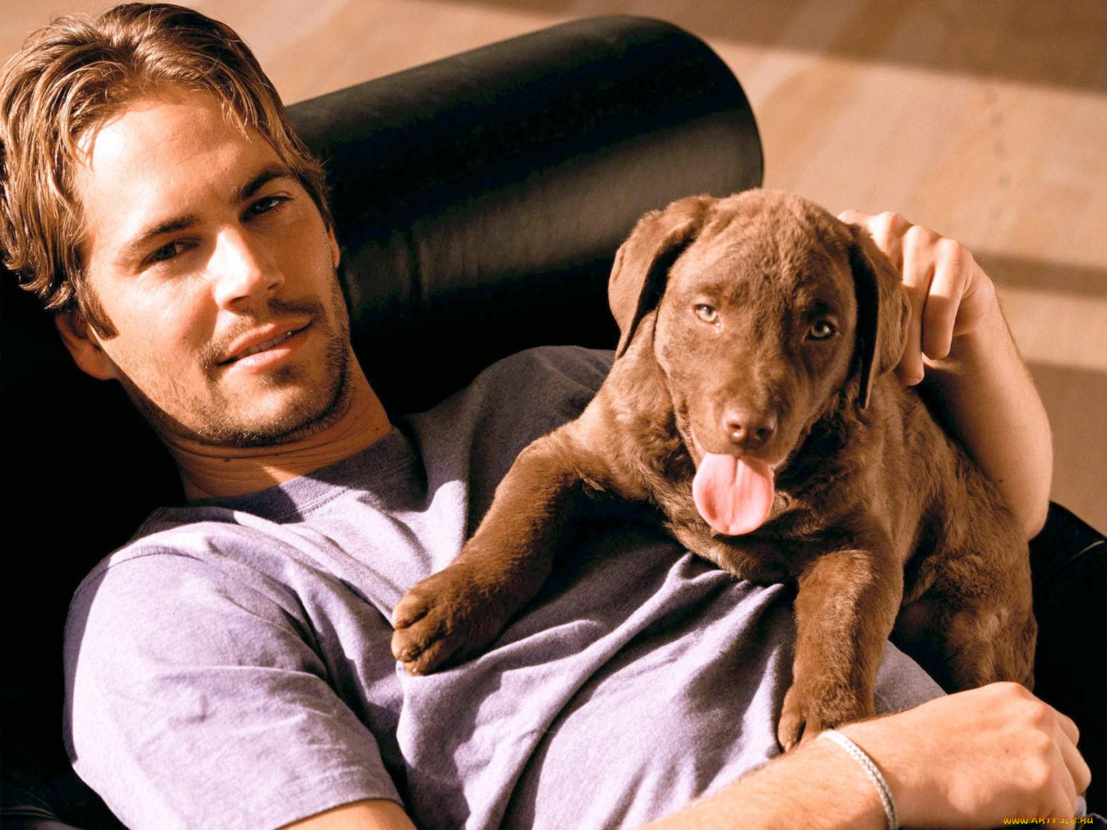 paul, walker, мужчины