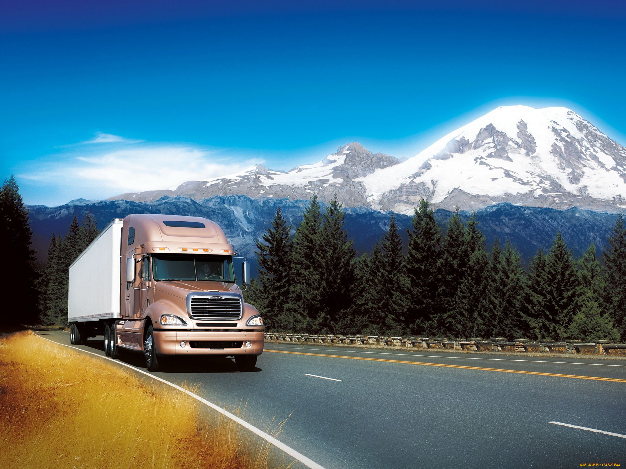 автомобили, freightliner