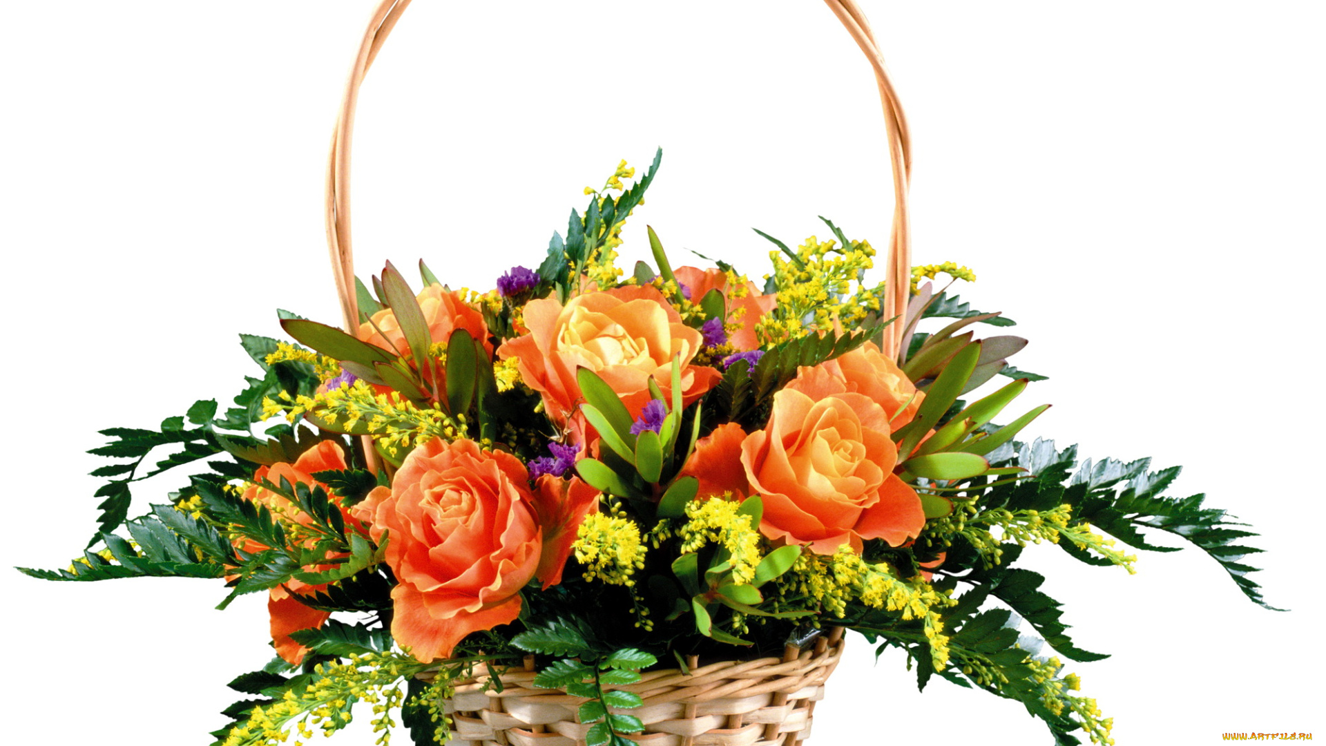 цветы, букеты, композиции, розы, корзинка
