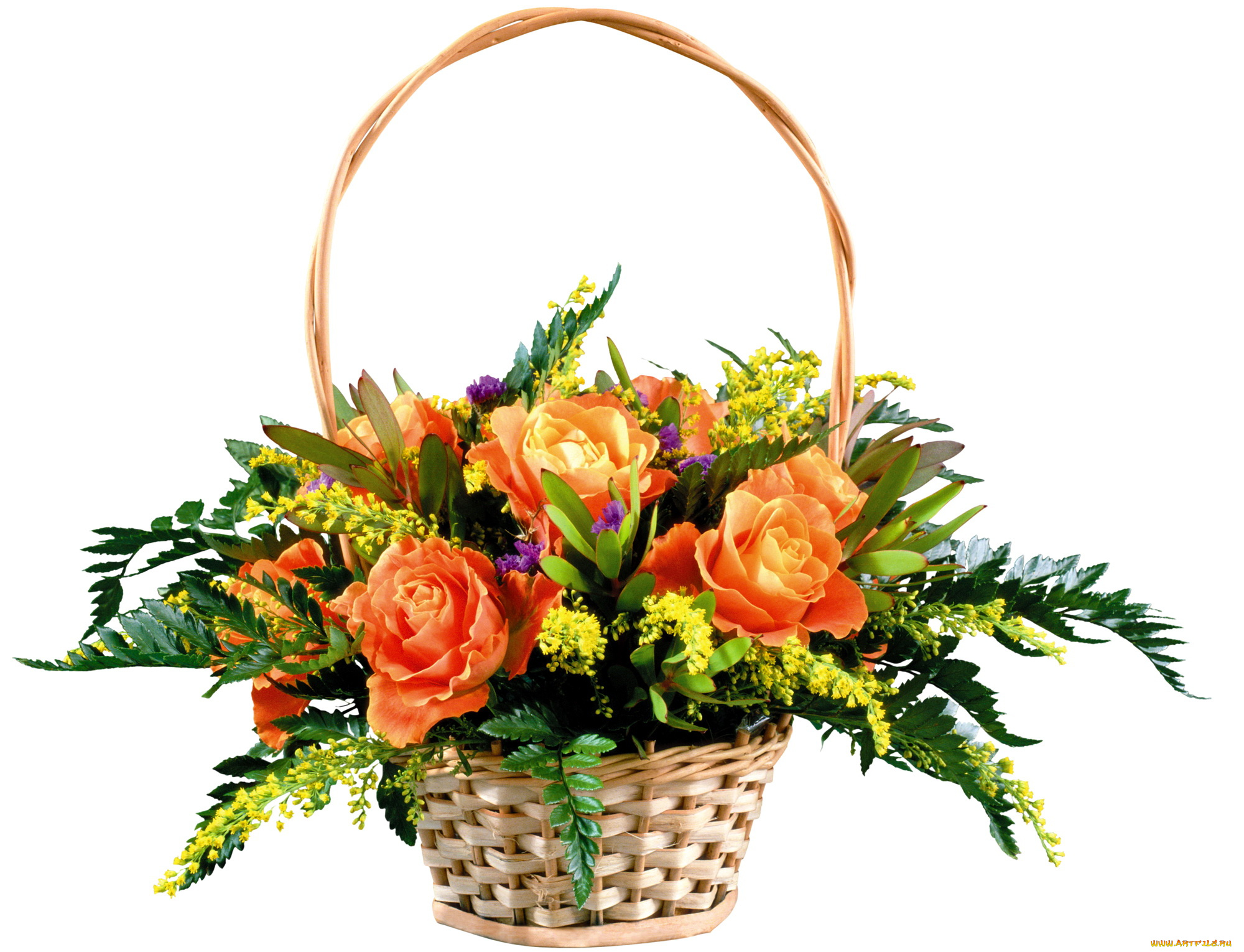 цветы, букеты, композиции, розы, корзинка